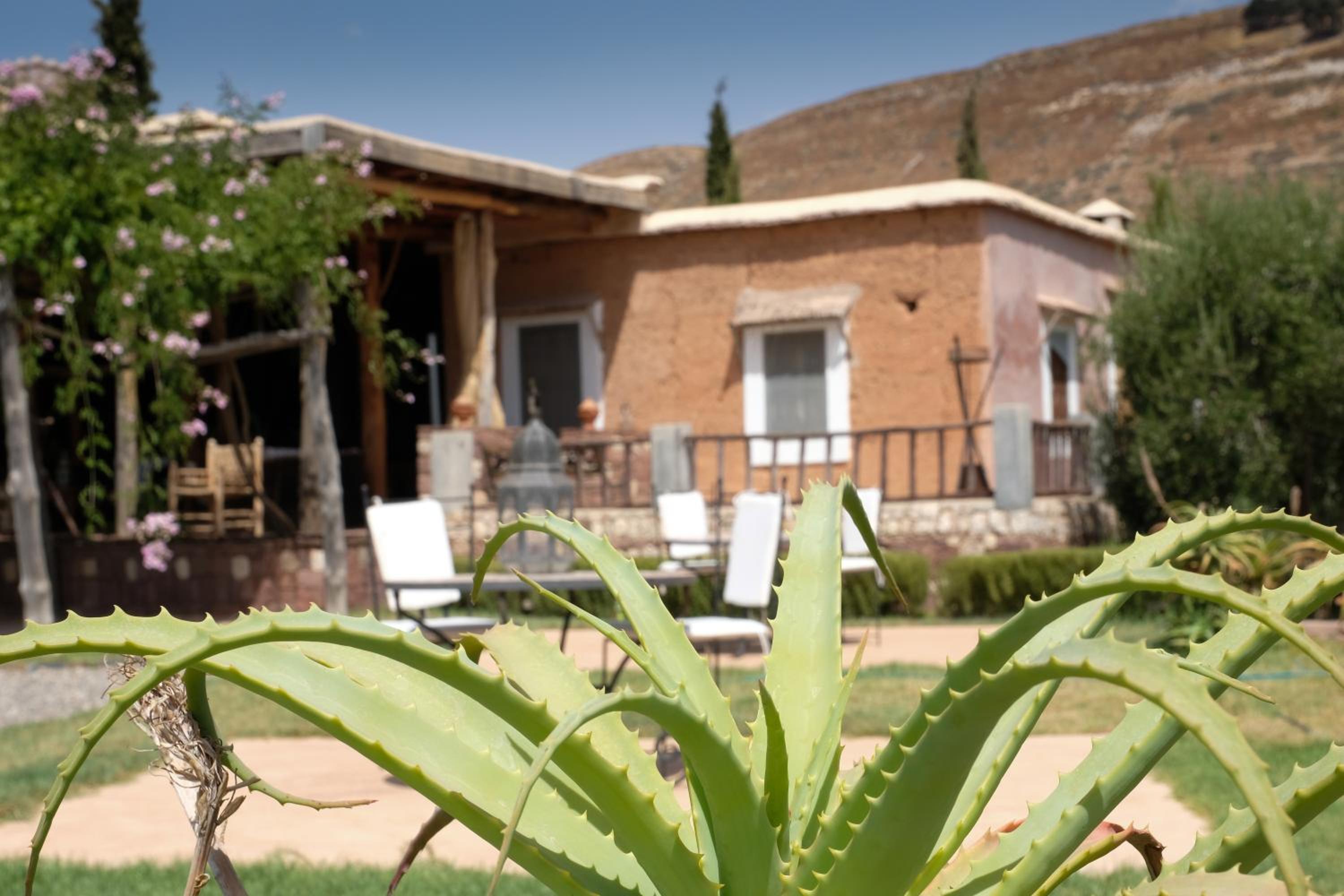 Le Douar Berbere