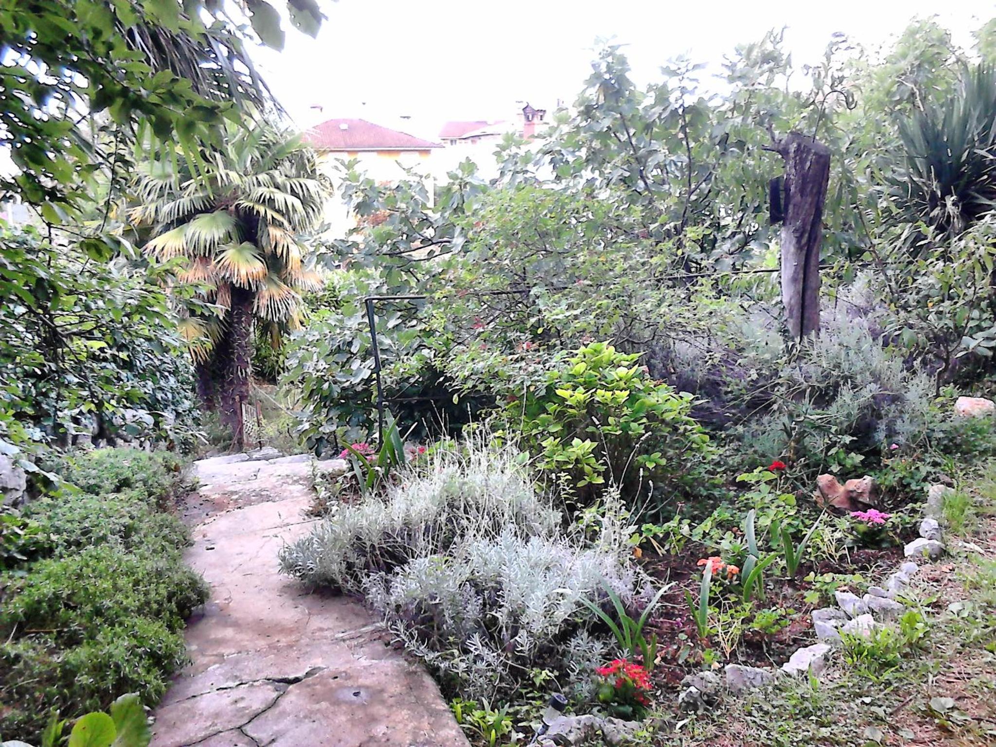 Apartment Villa Elbe view 3