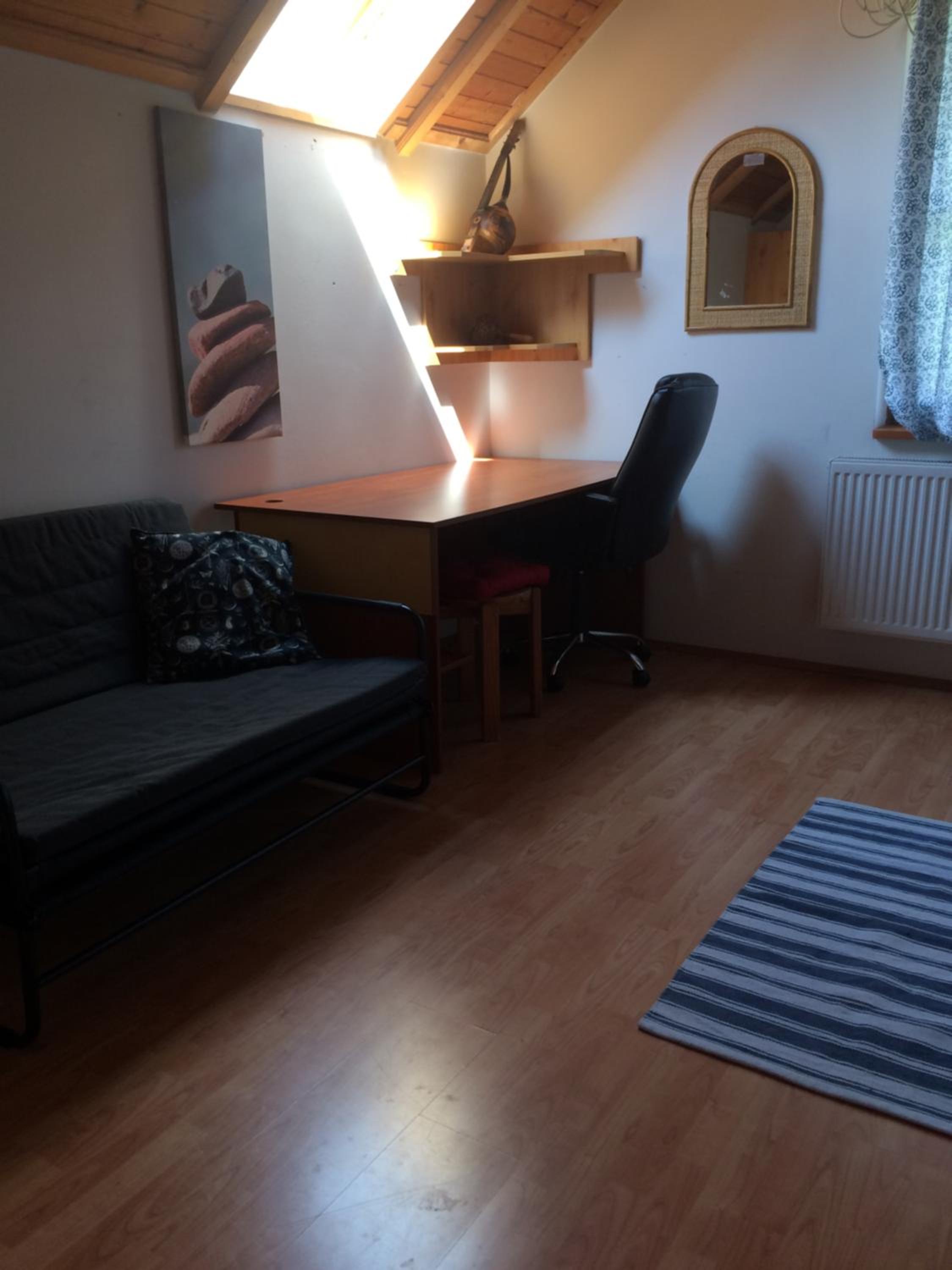 Photo 11