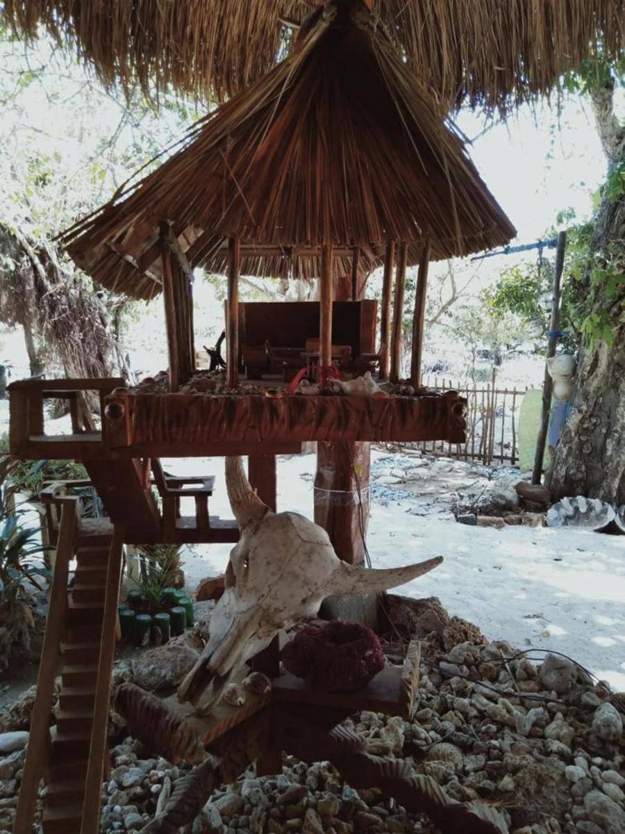 Photo 14