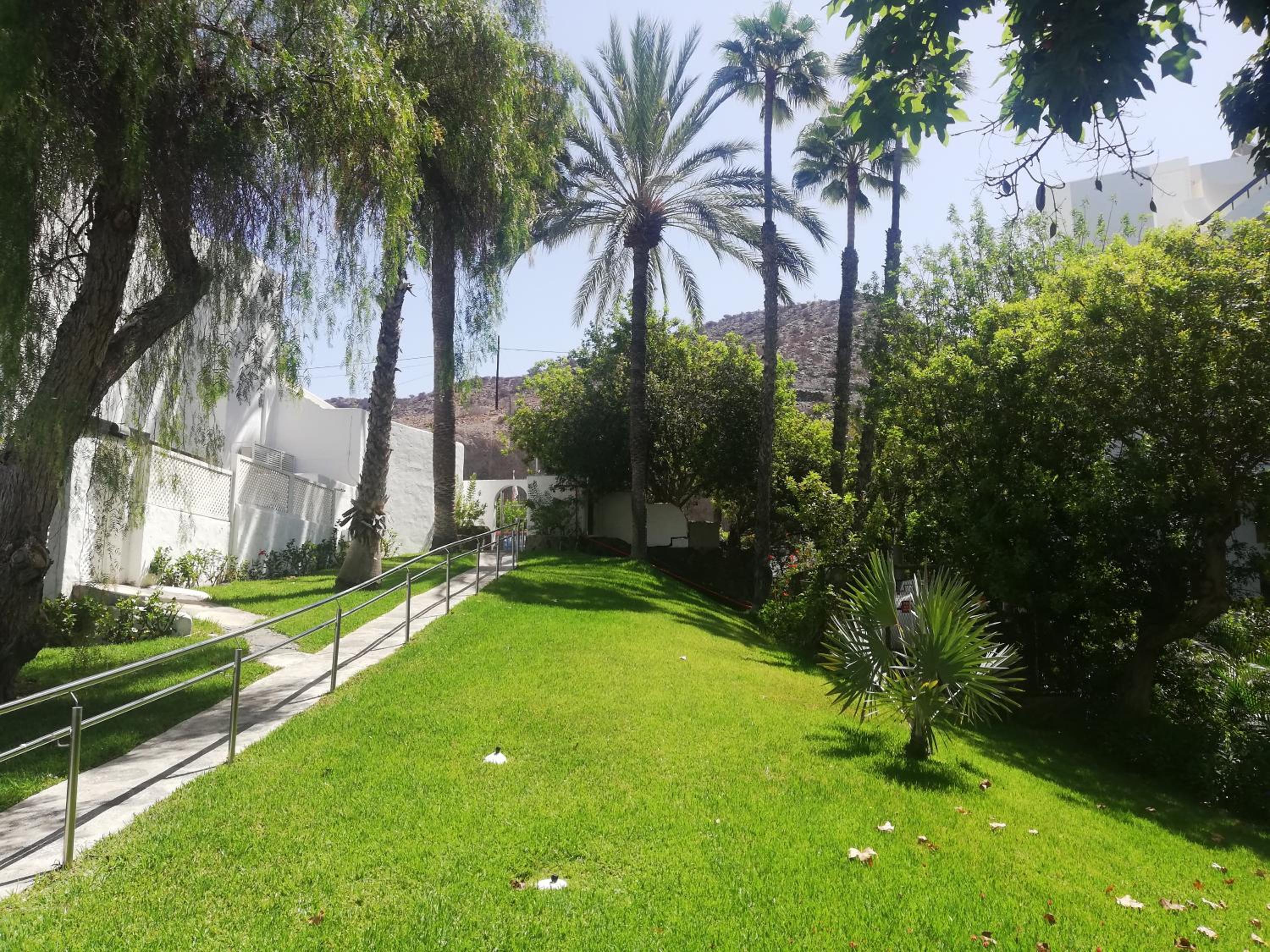 Photo 44
