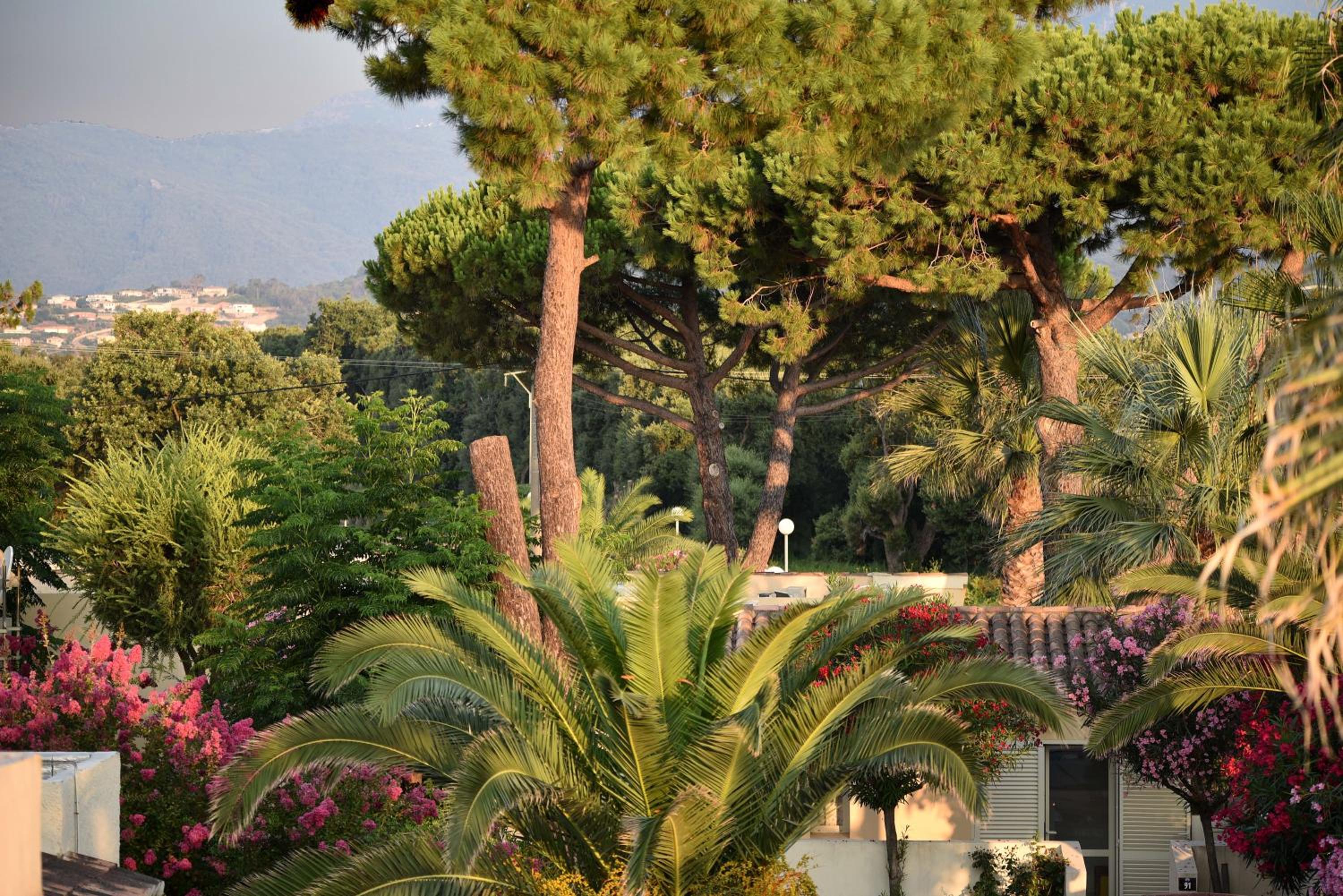 garden