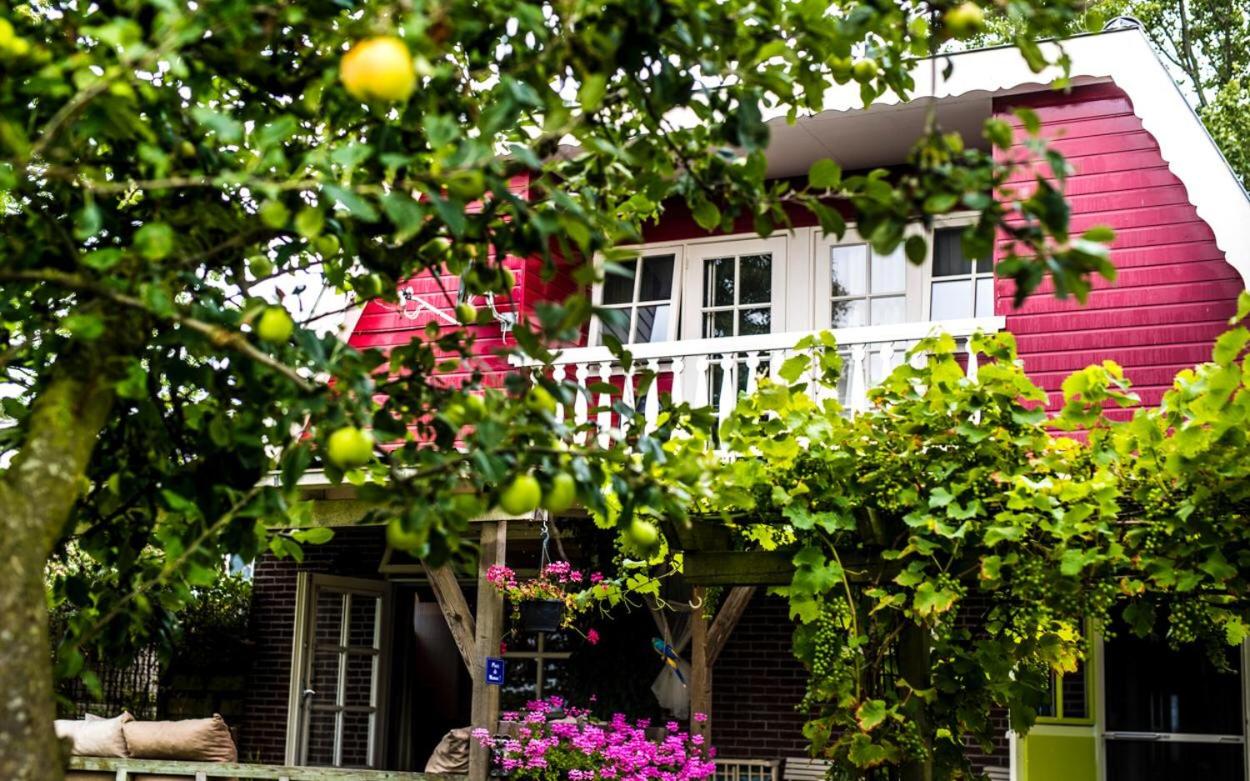 Bed & Breakfast "Bij Lucie" view 3