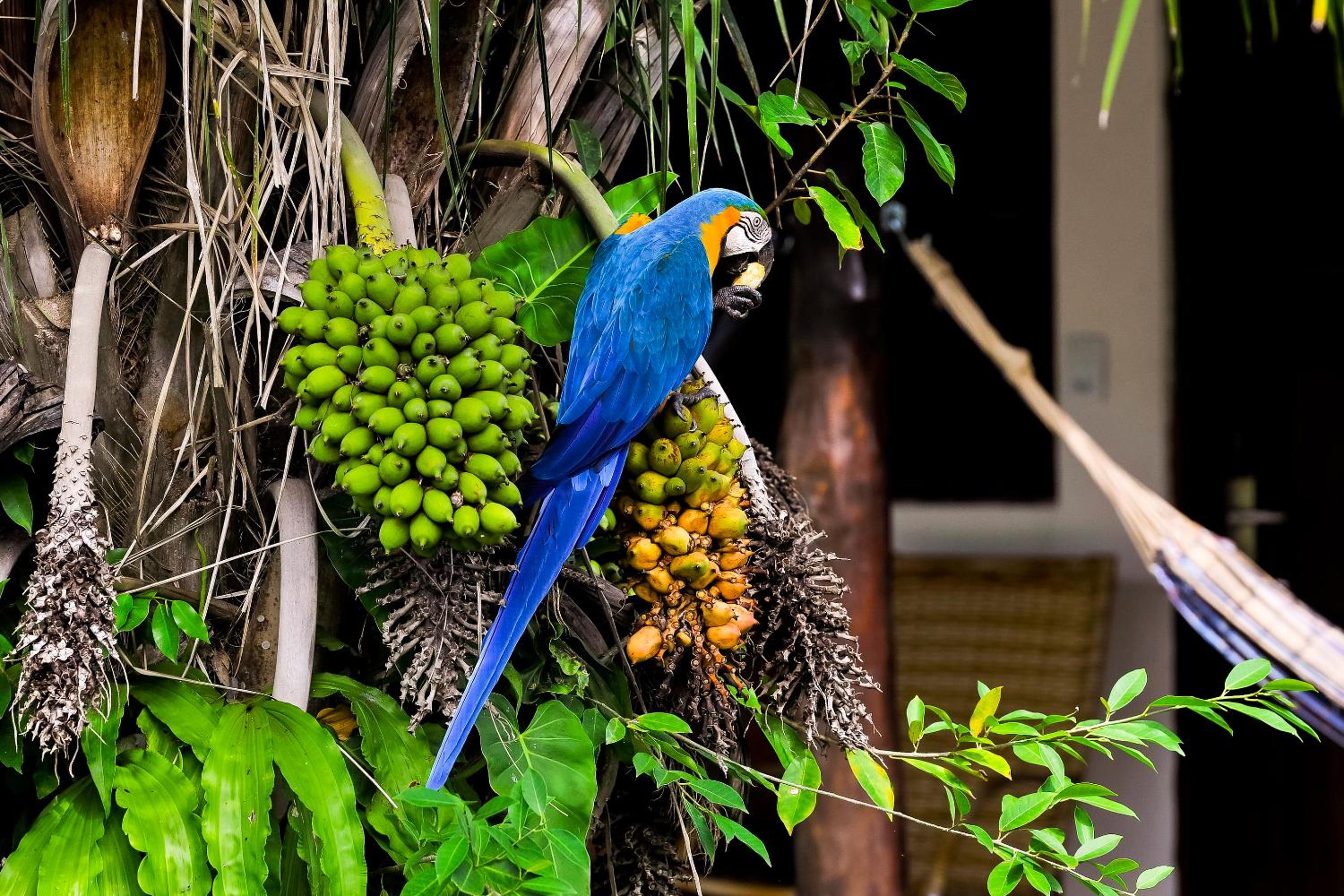 Pousada Piuval