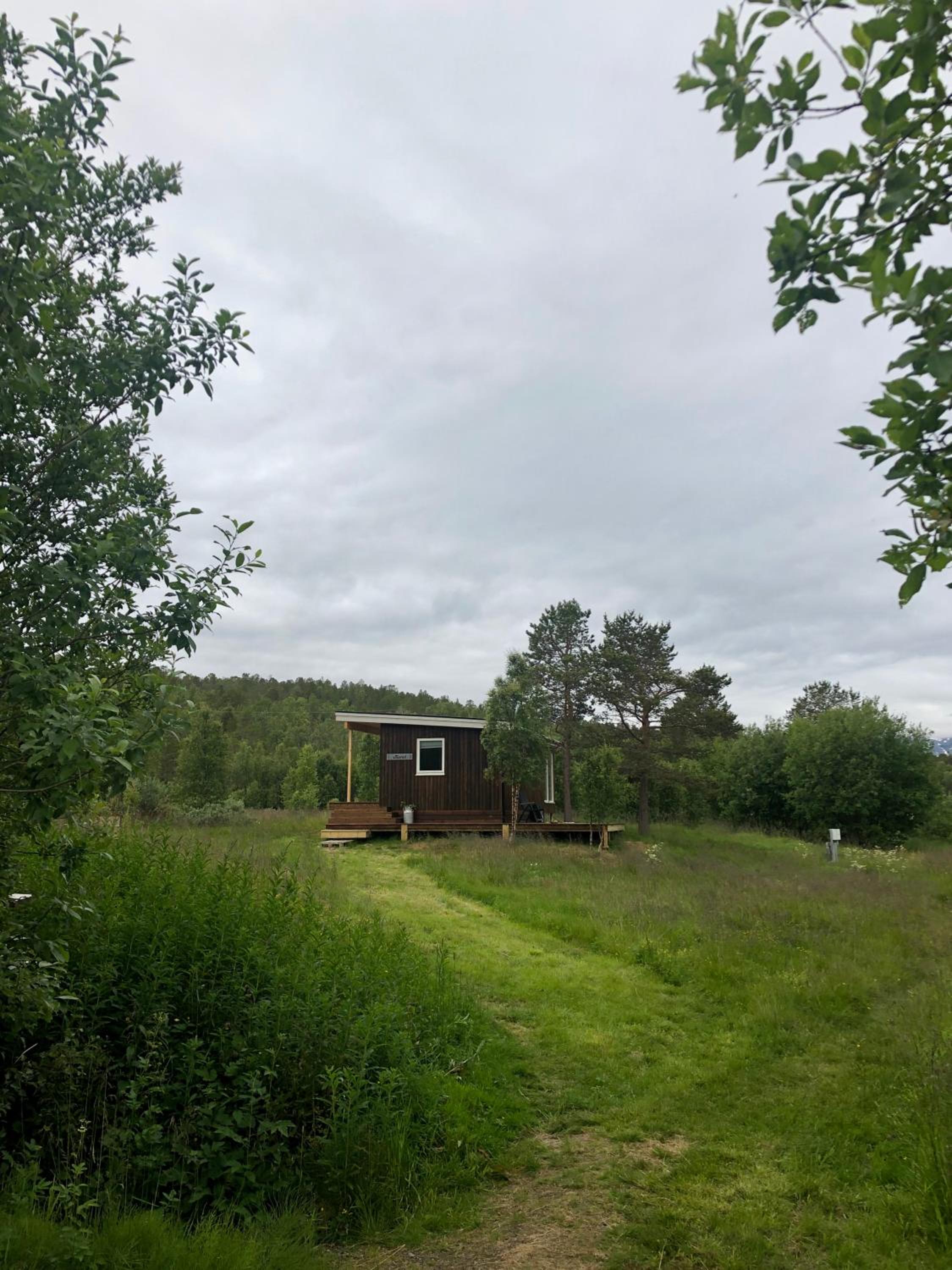 Photo 19