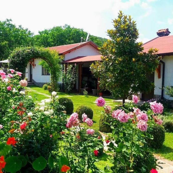 Guest House Raiski Kаt
