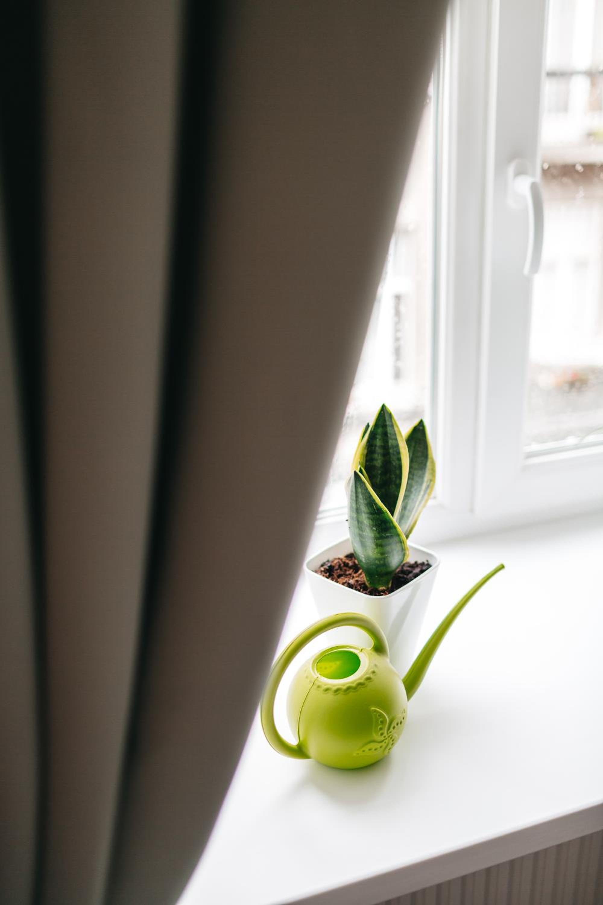 "Green Oasis Apartment"