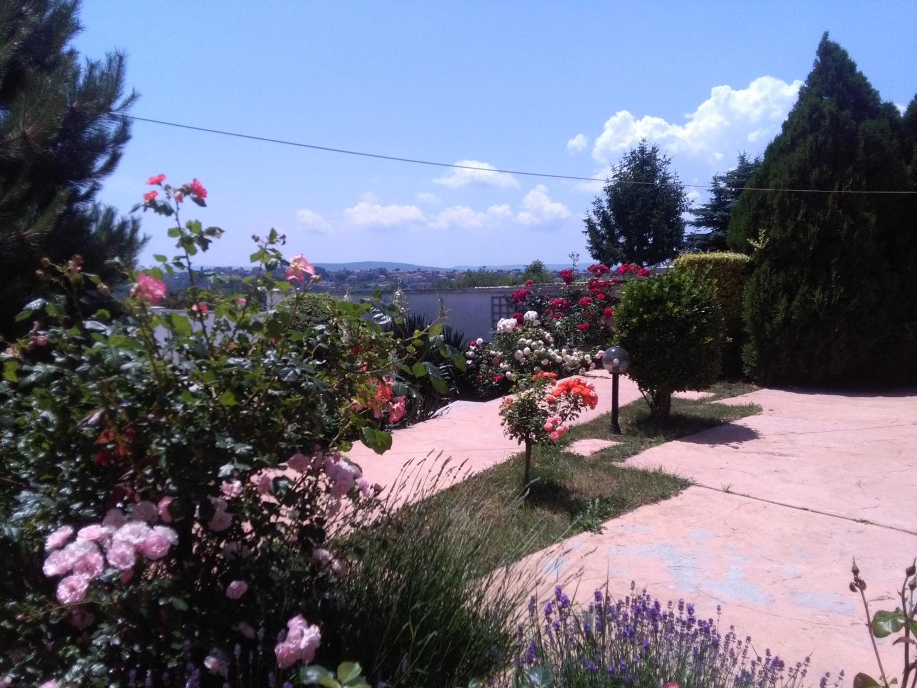 Villa Byala Grape House