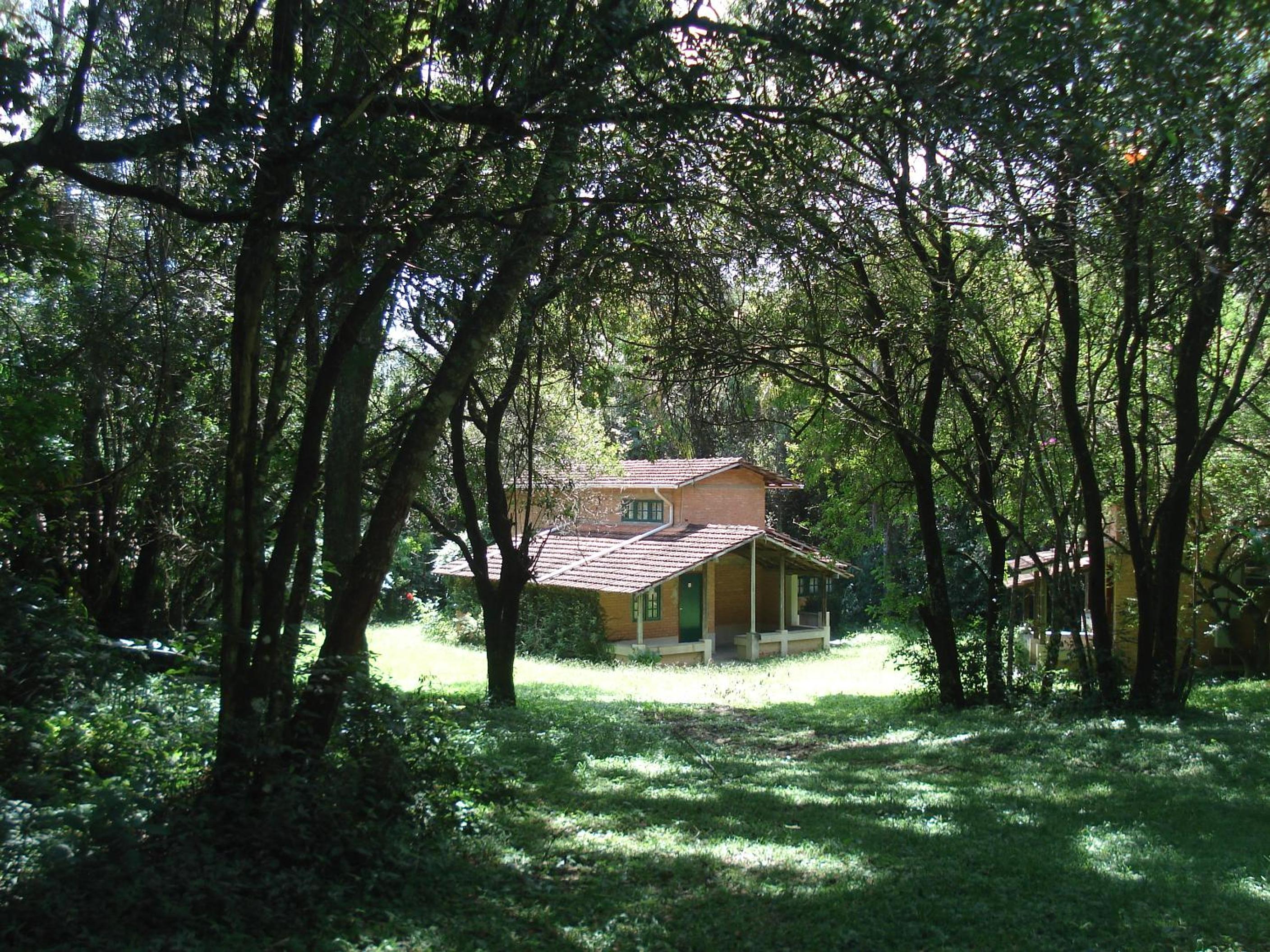 Photo 29