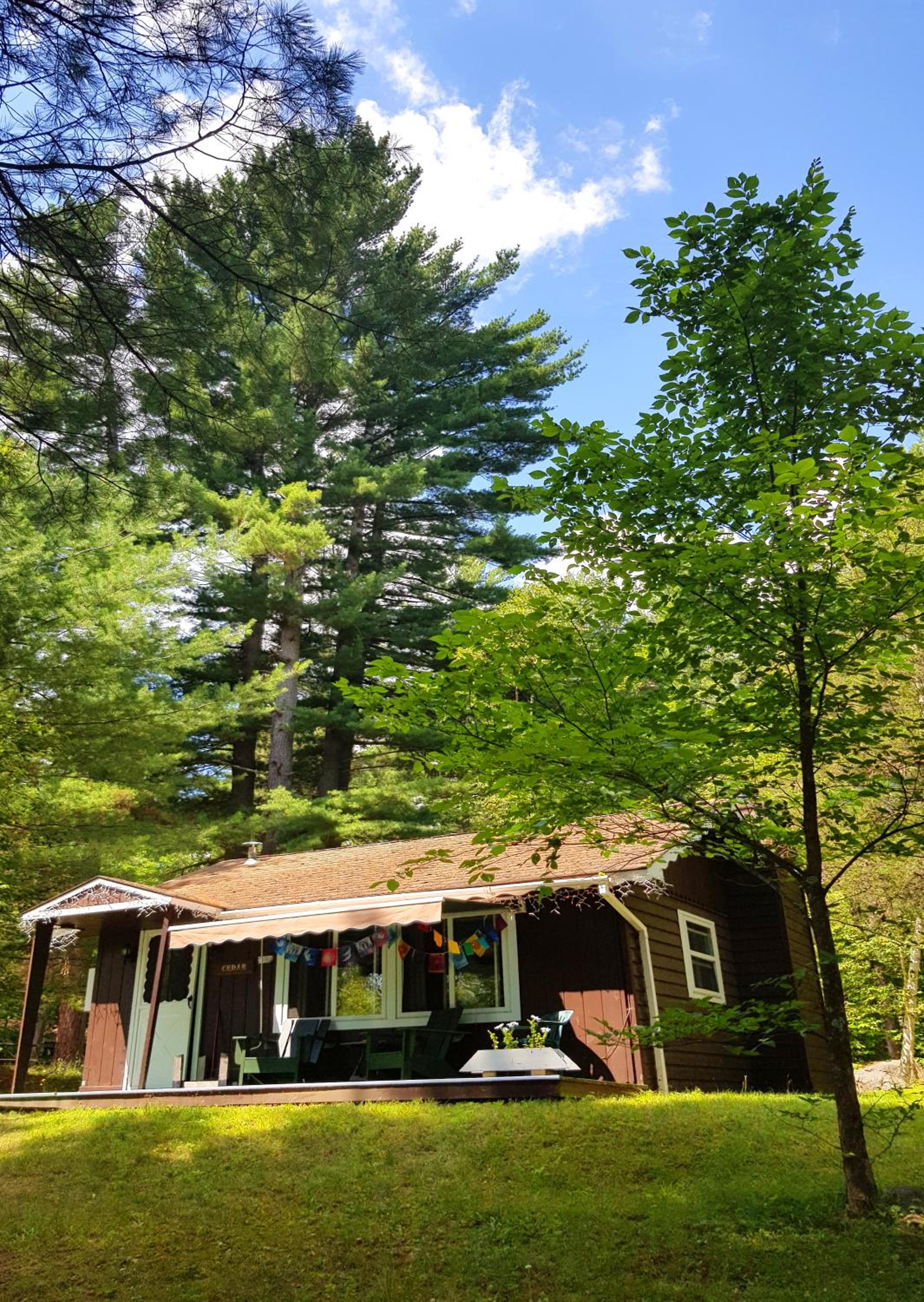 The Wilderness Inn: Chalets view 5