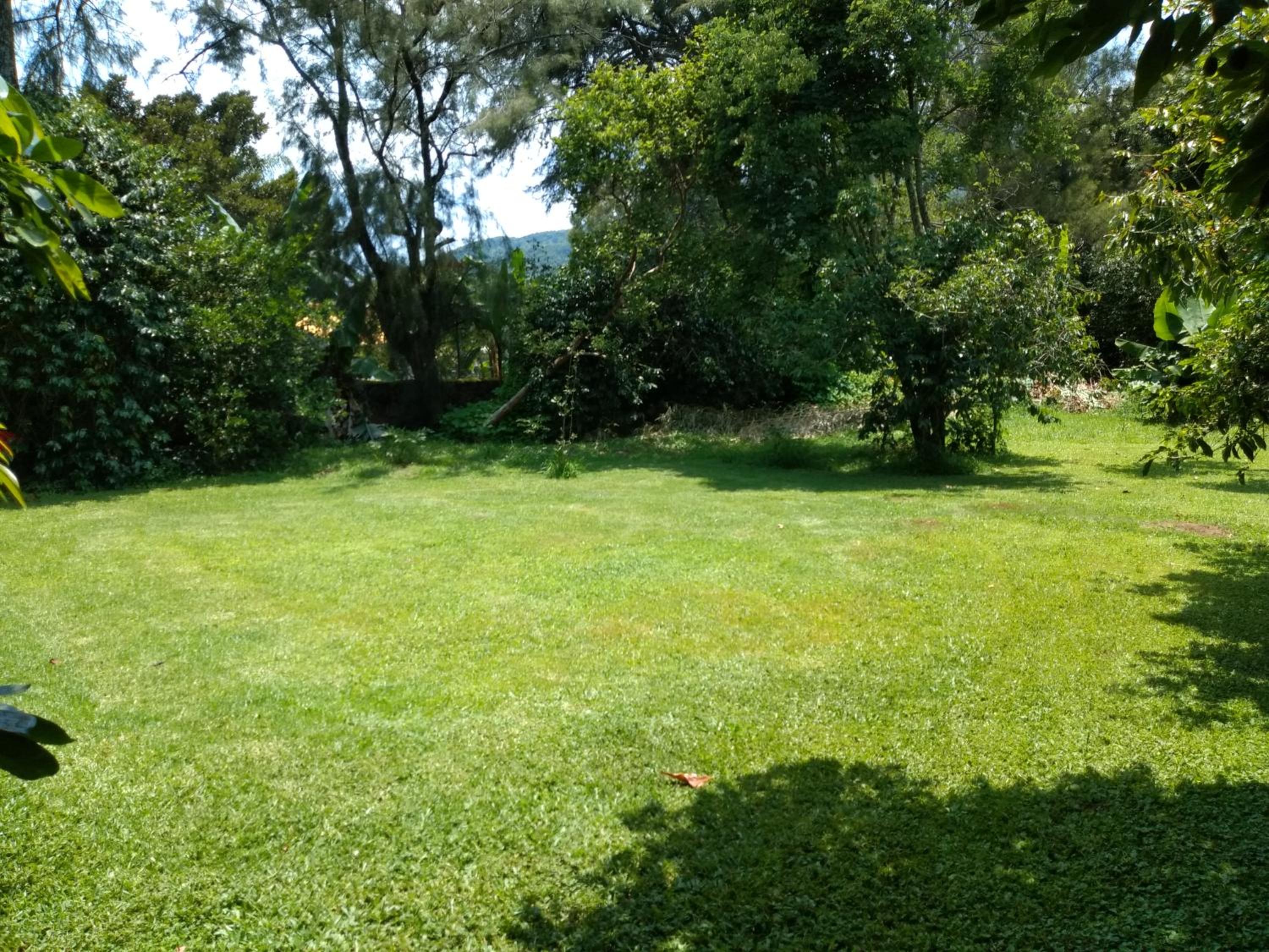 Hotel Casa Pomarrosa - Property Image 29