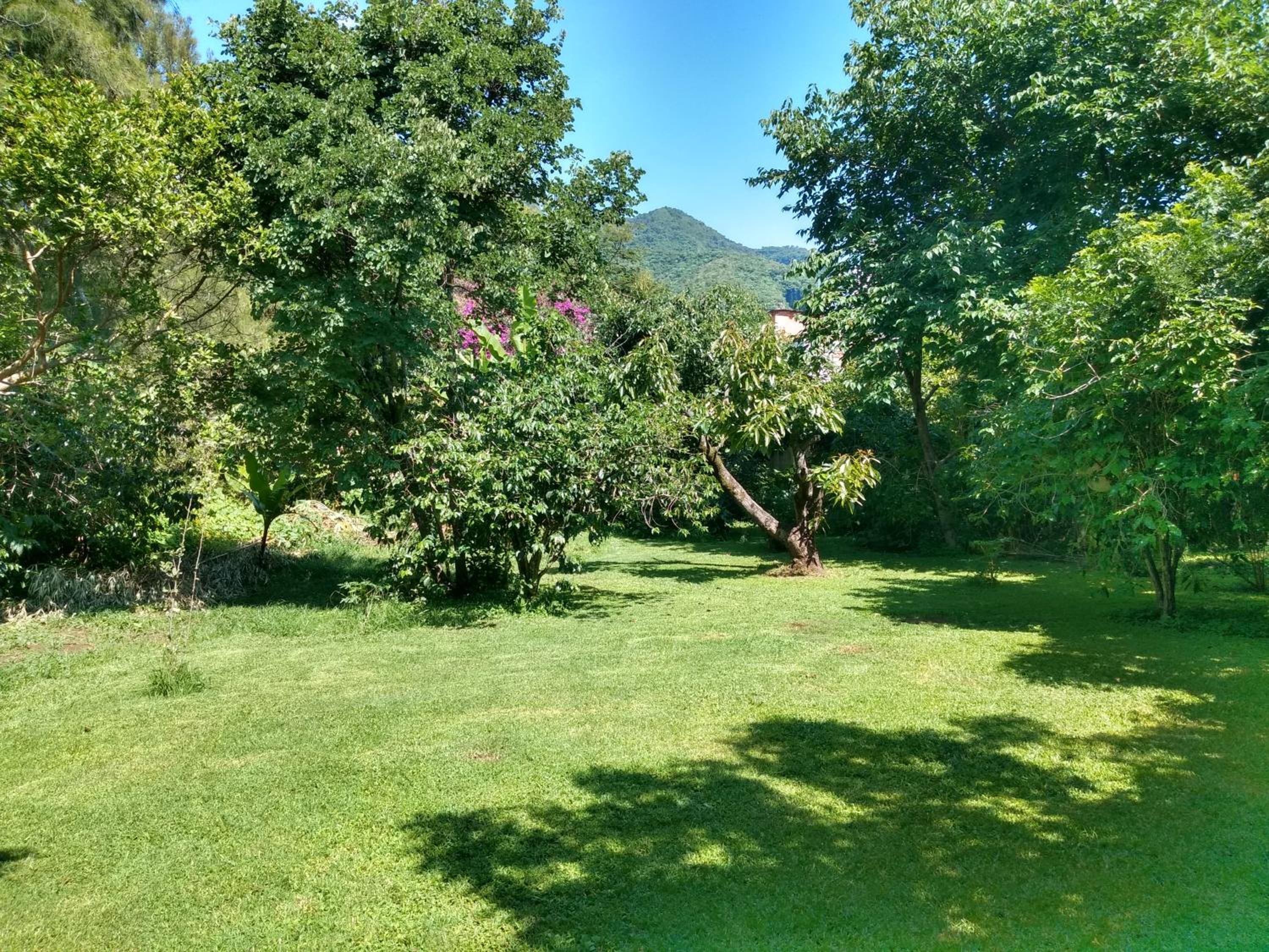 Hotel Casa Pomarrosa - Property Image 28