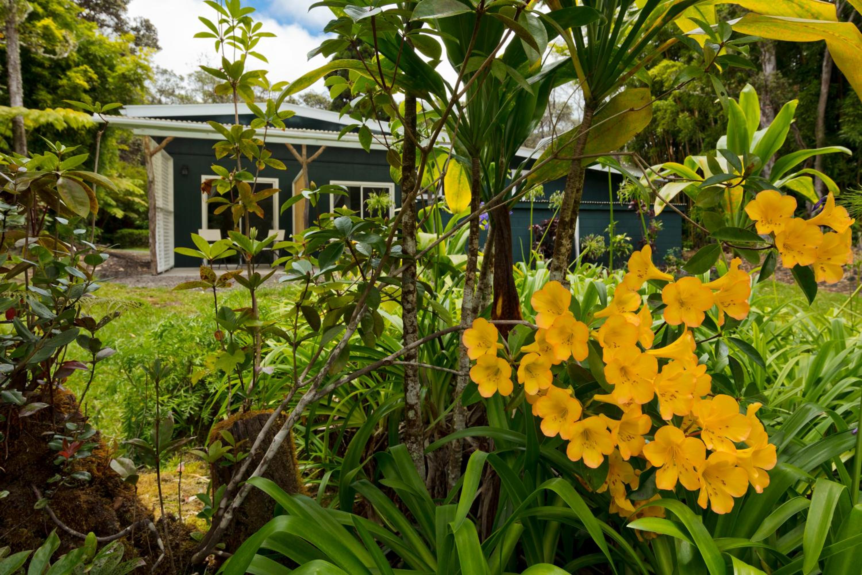 Hale 'Ohu Bed & Breakfast