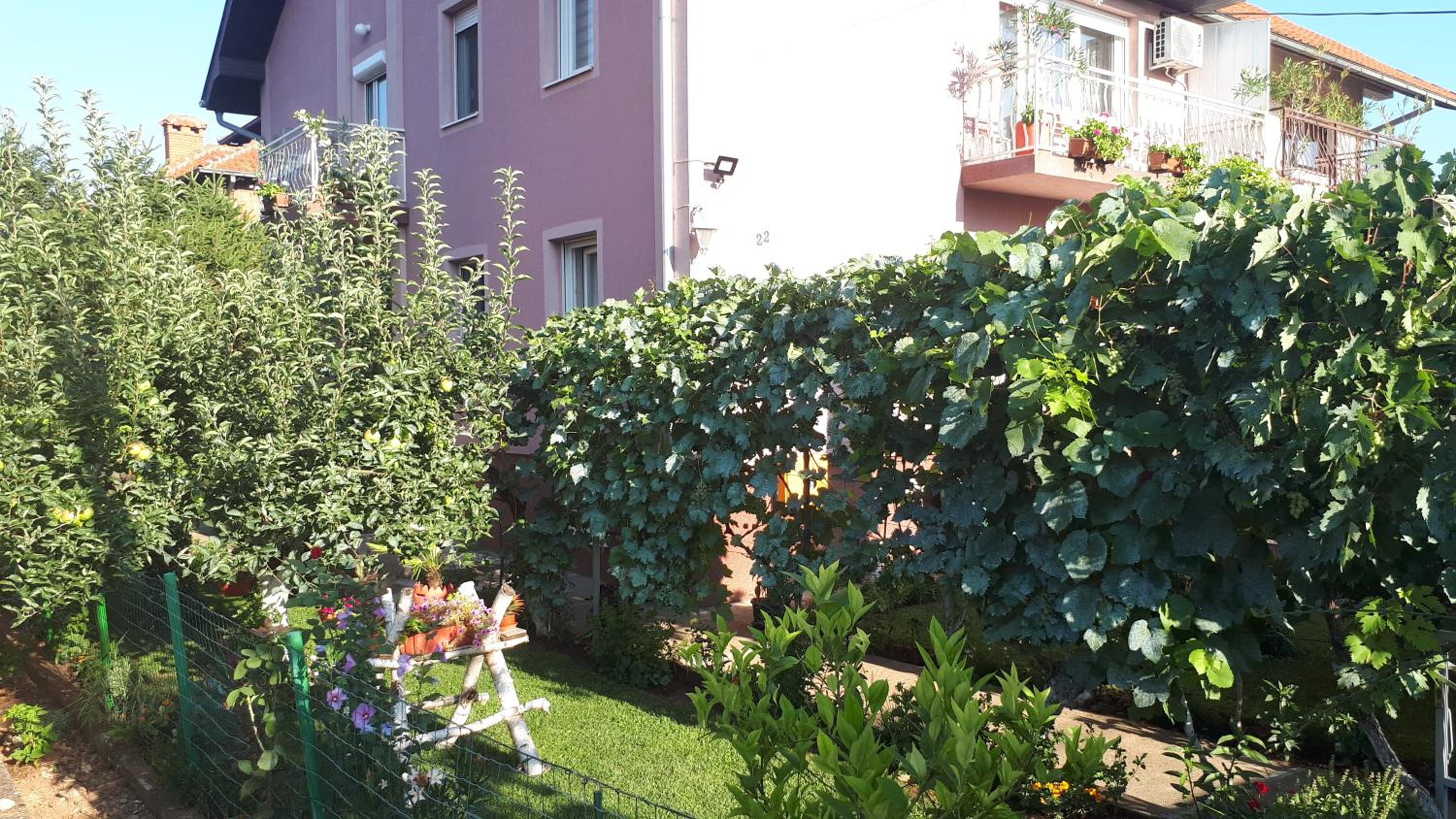 Photo 10