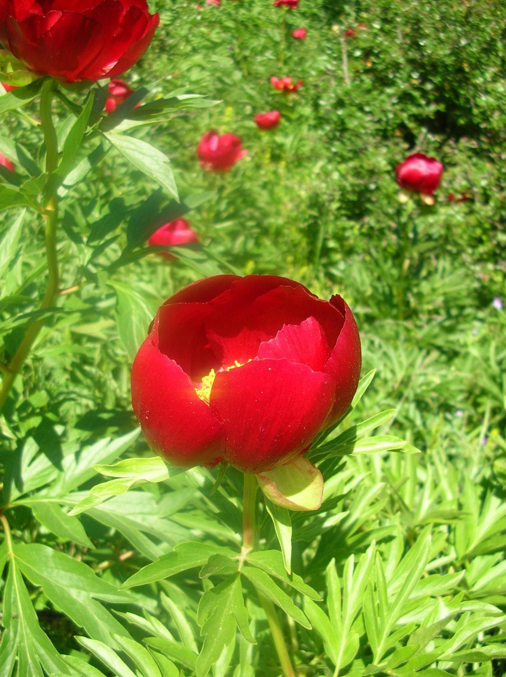 Photo 19