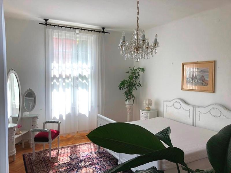 Rooms in Prague-BIG+Comfy
