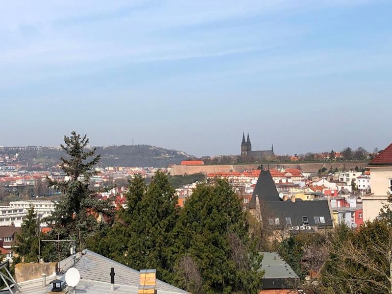 Rooms in Prague-BIG+Comfy