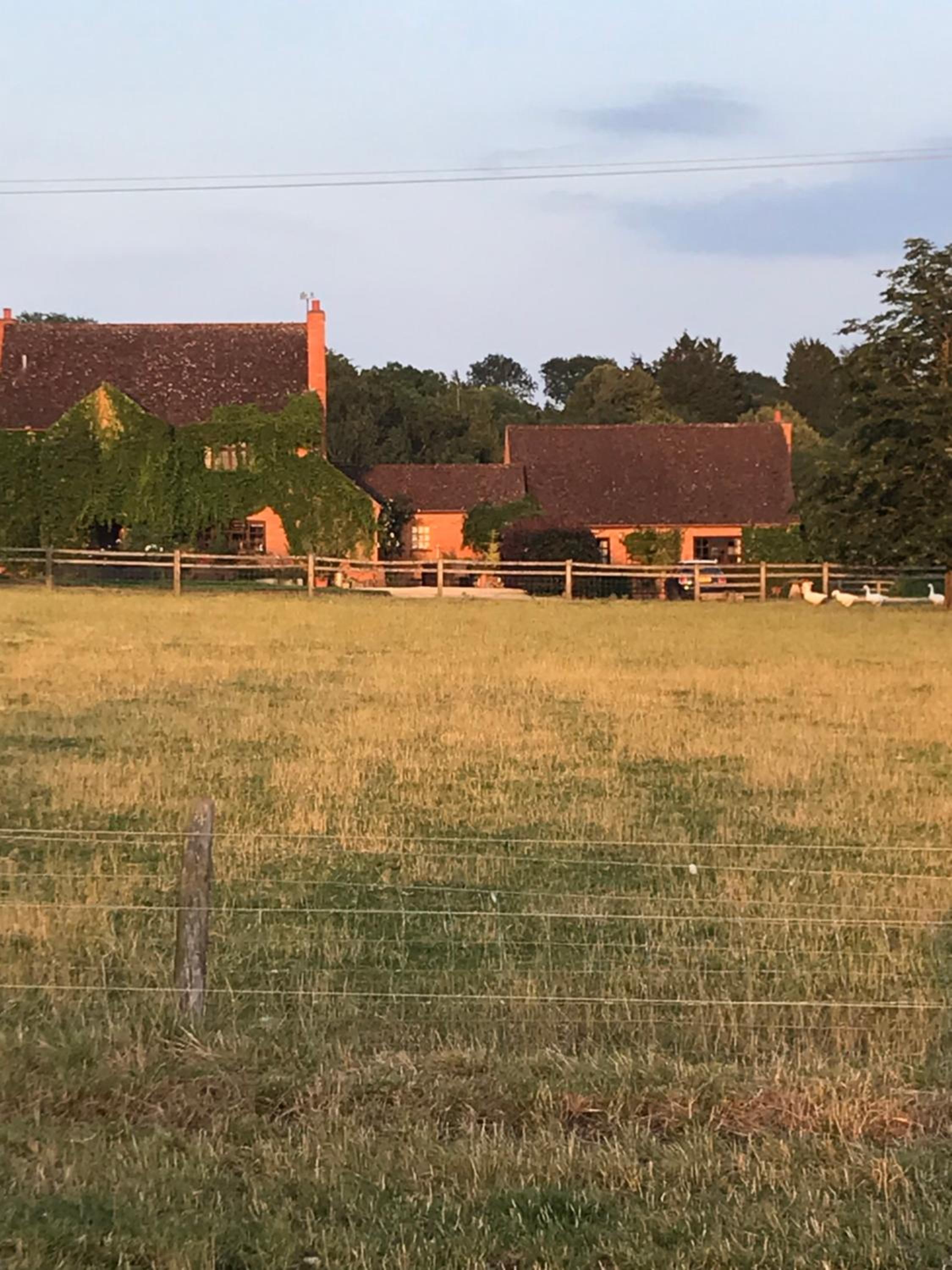 The Burrow