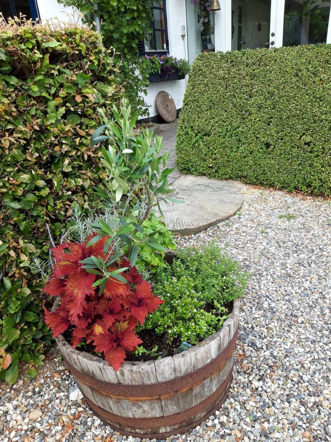 Koppes Mølle B&B - naturnær overnatning