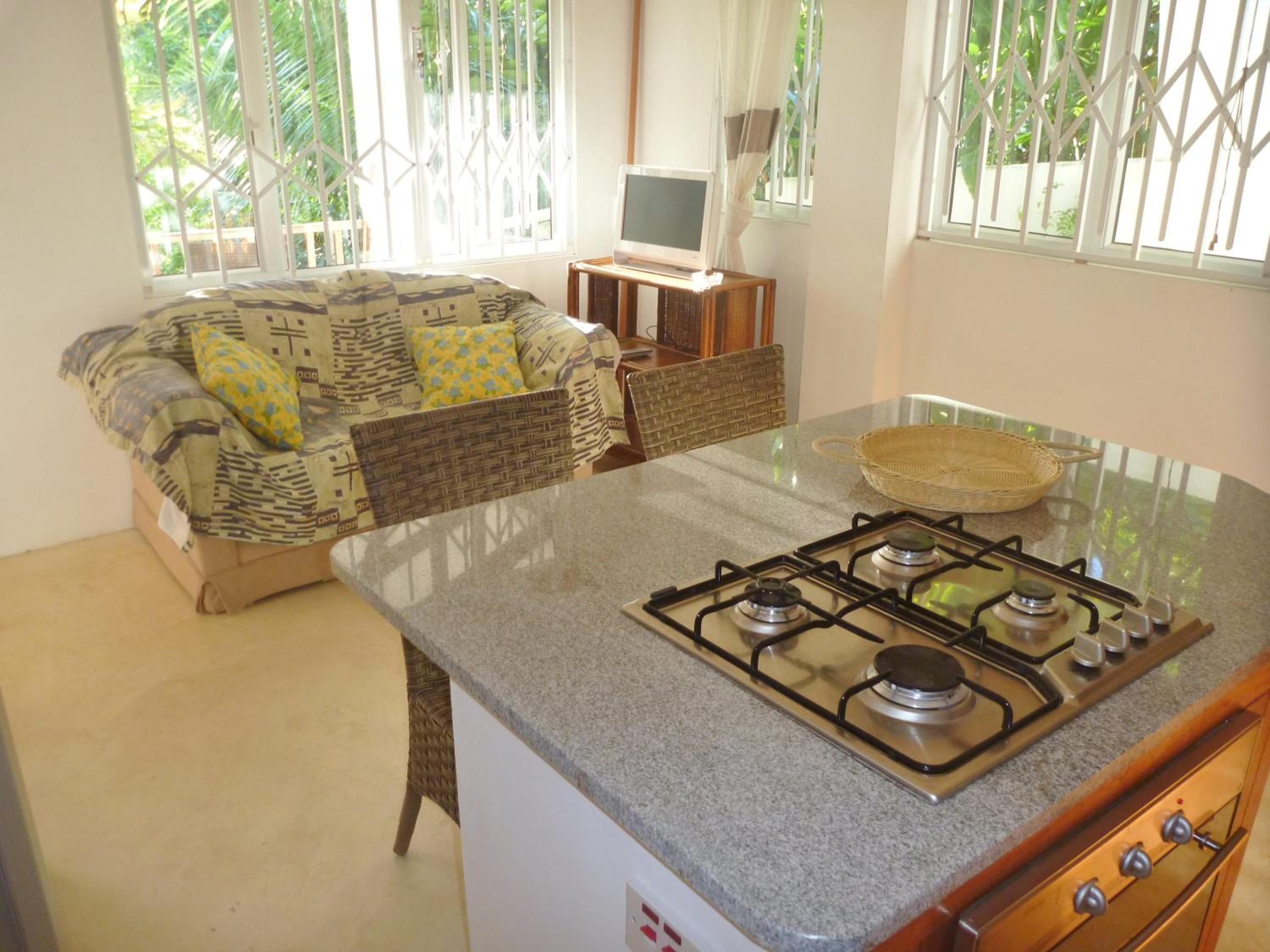 La Batie selfcatering Apartment photo 4