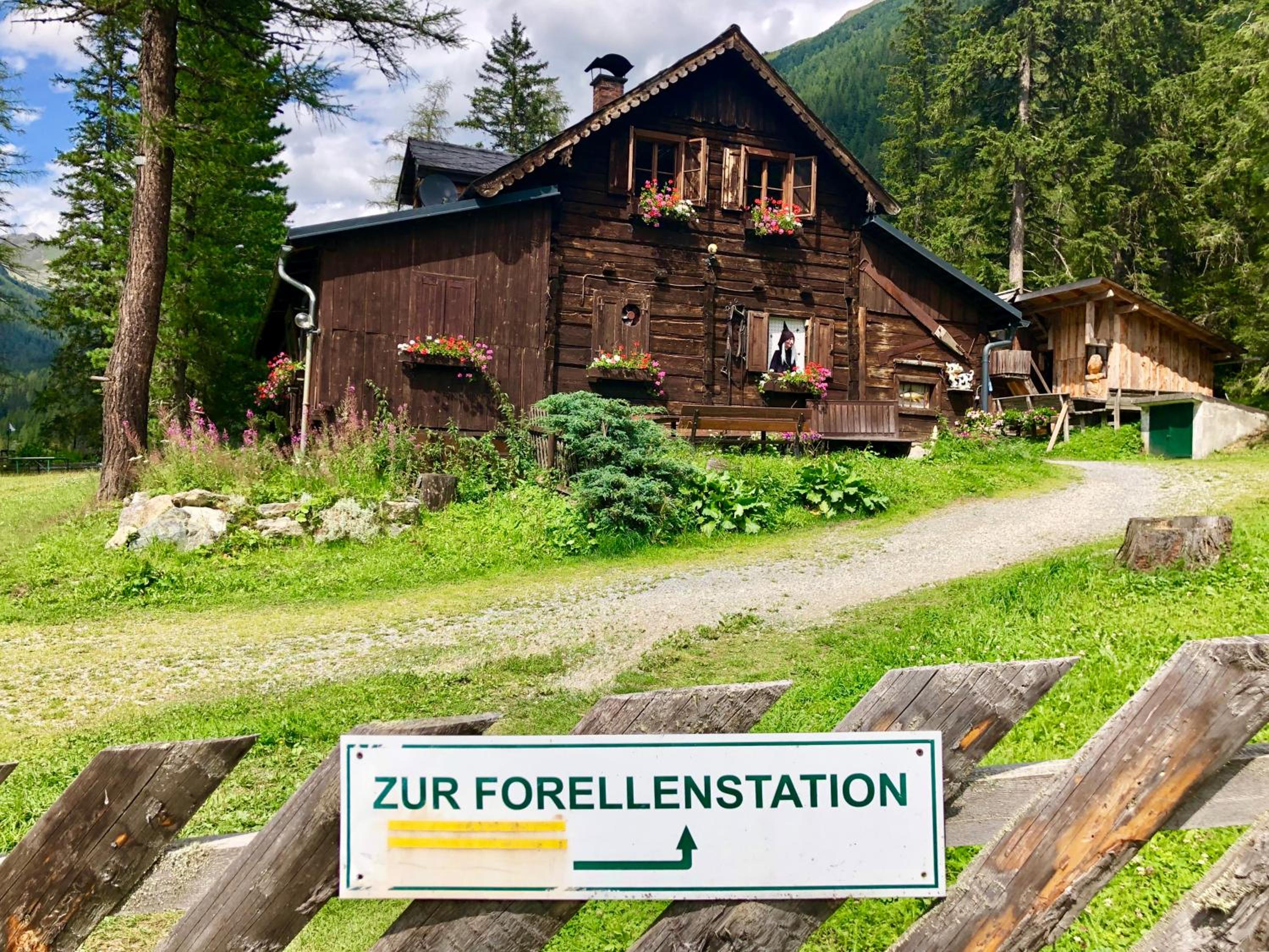 Feielhof