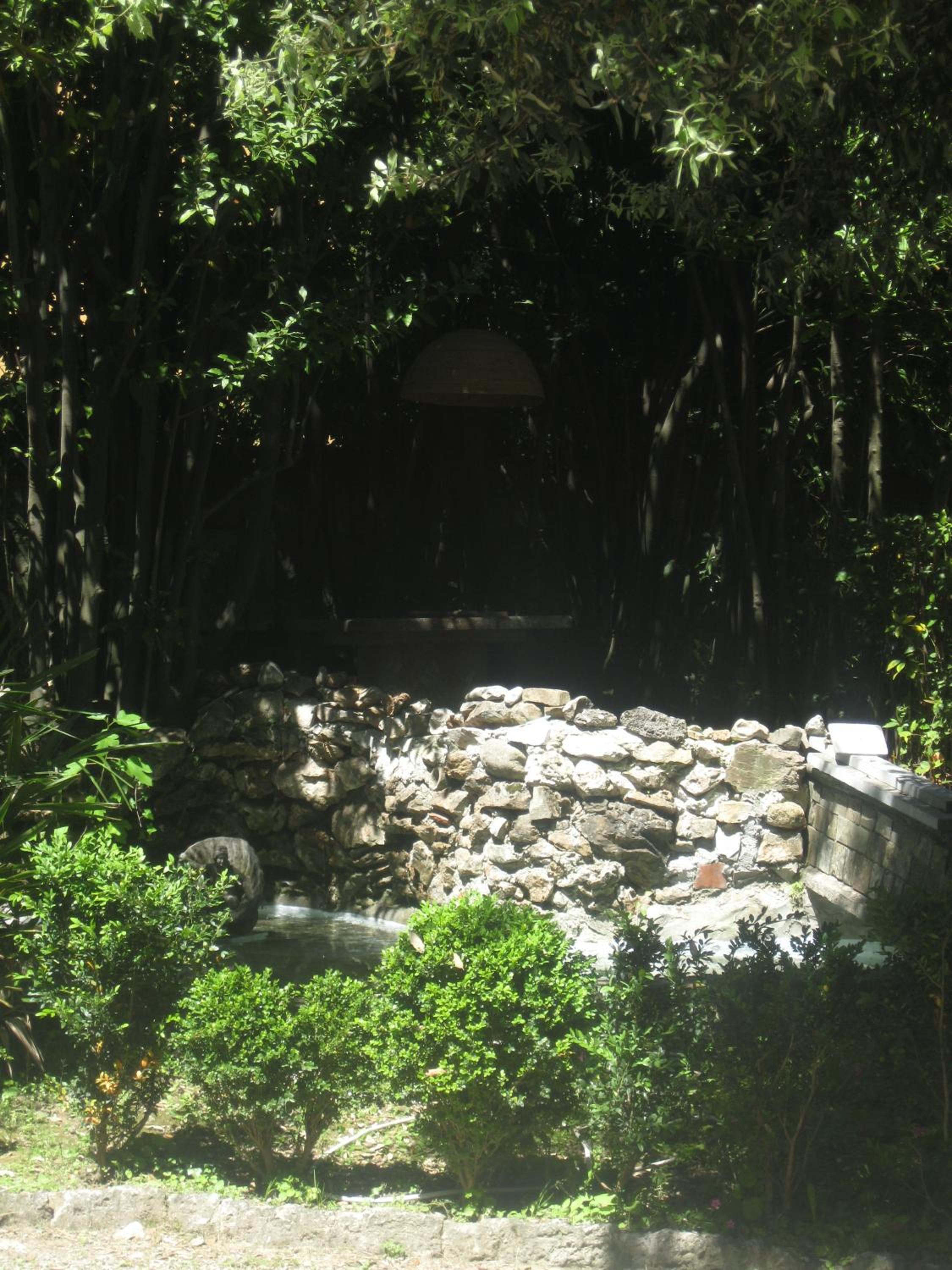 Photo 21
