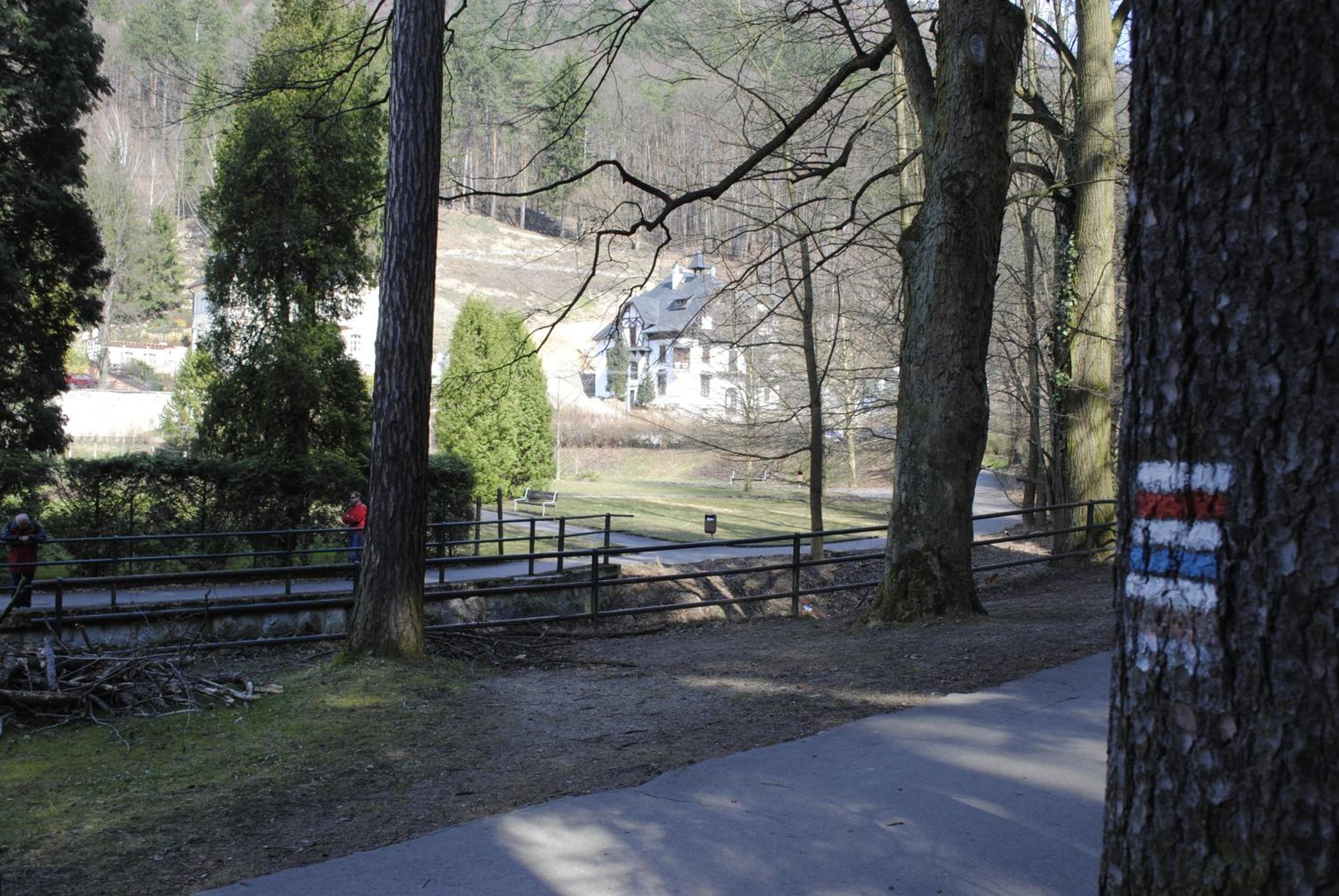 Photo 43