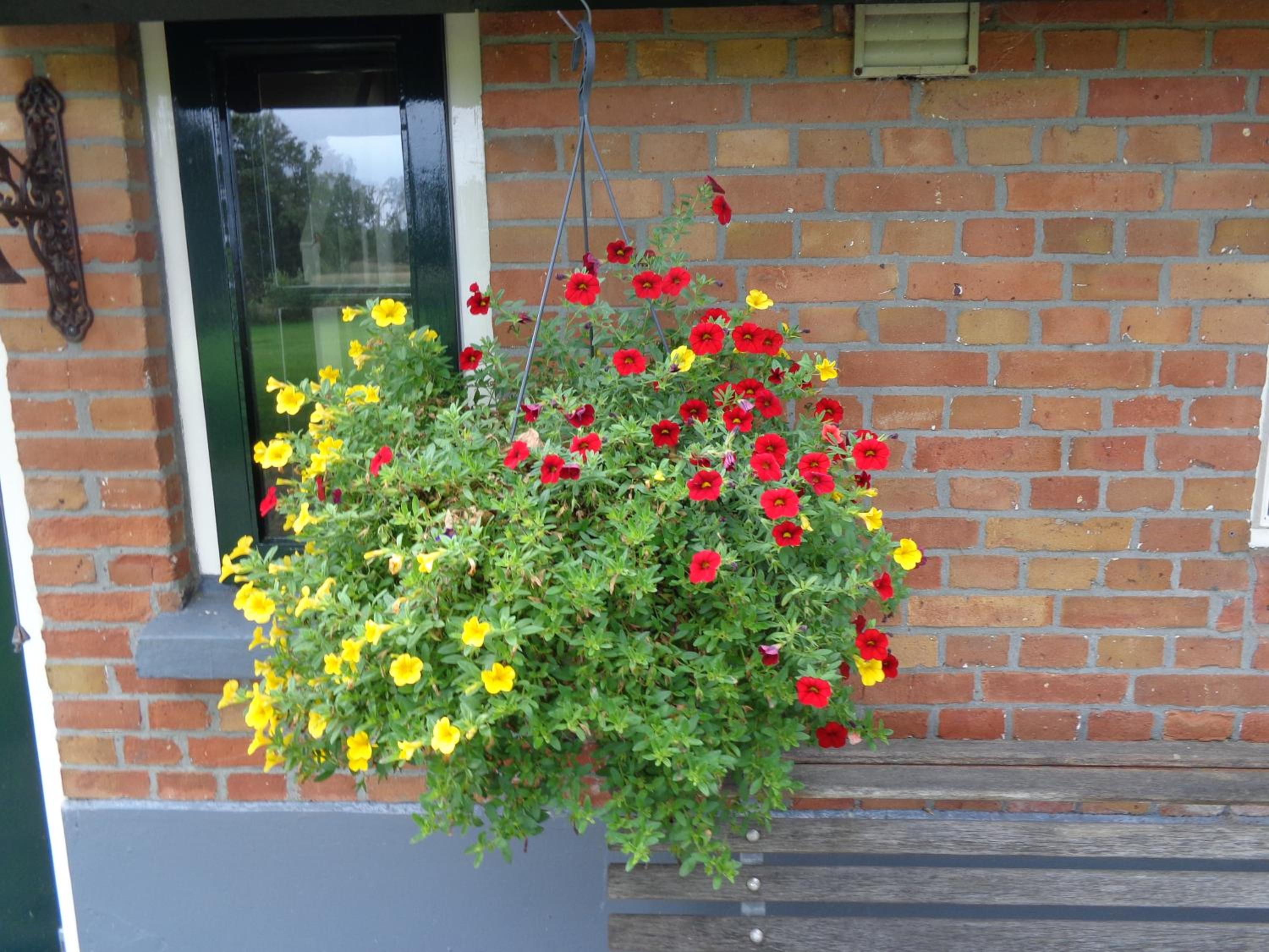 Photo 28