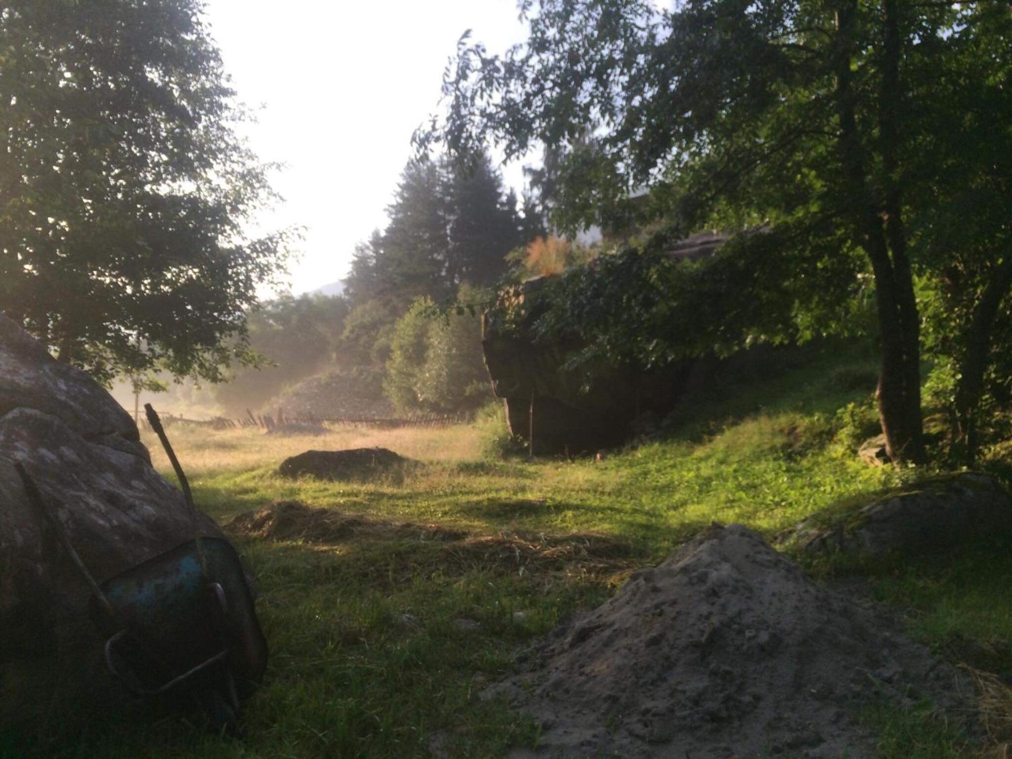 Photo 42
