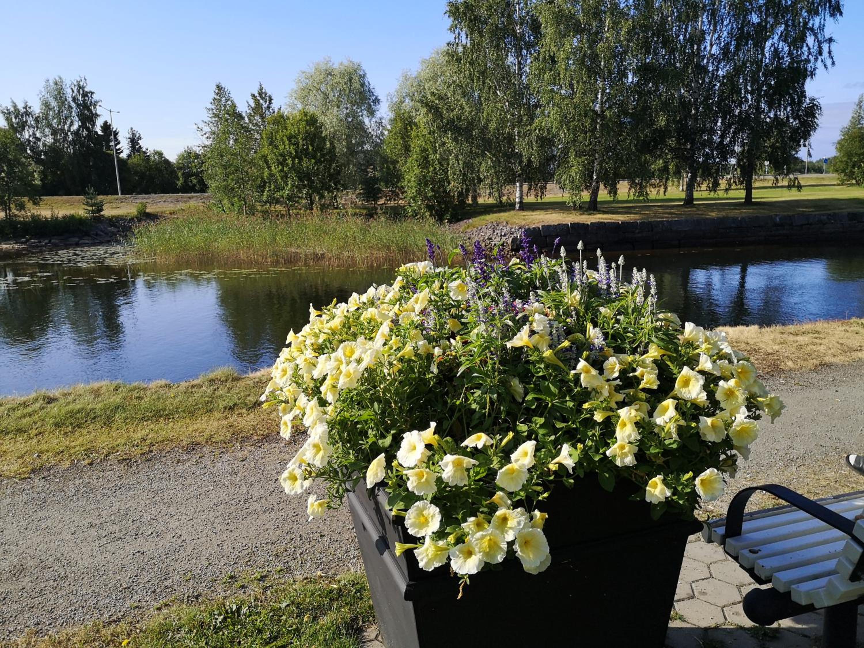 Photo 37