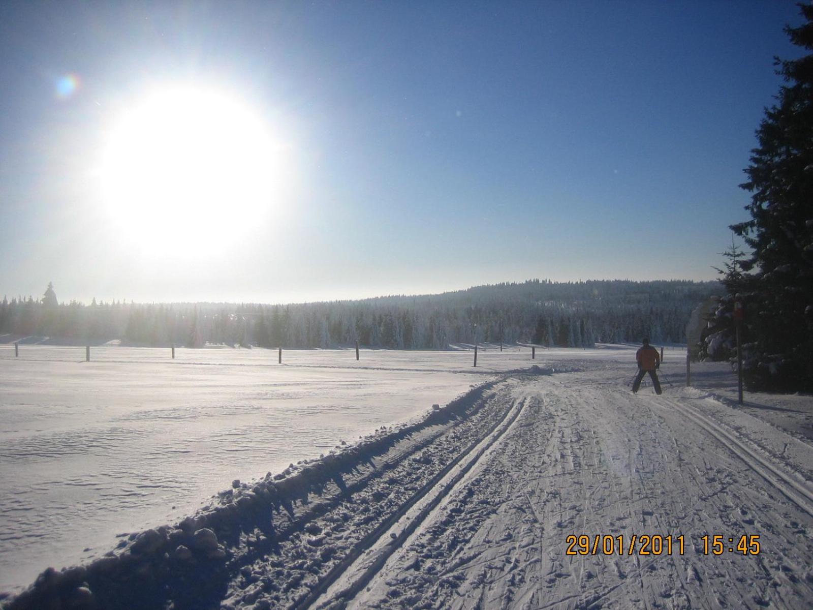 Photo 33