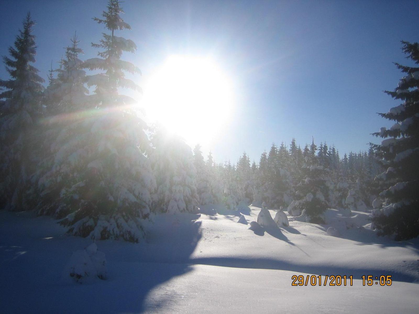 Photo 44