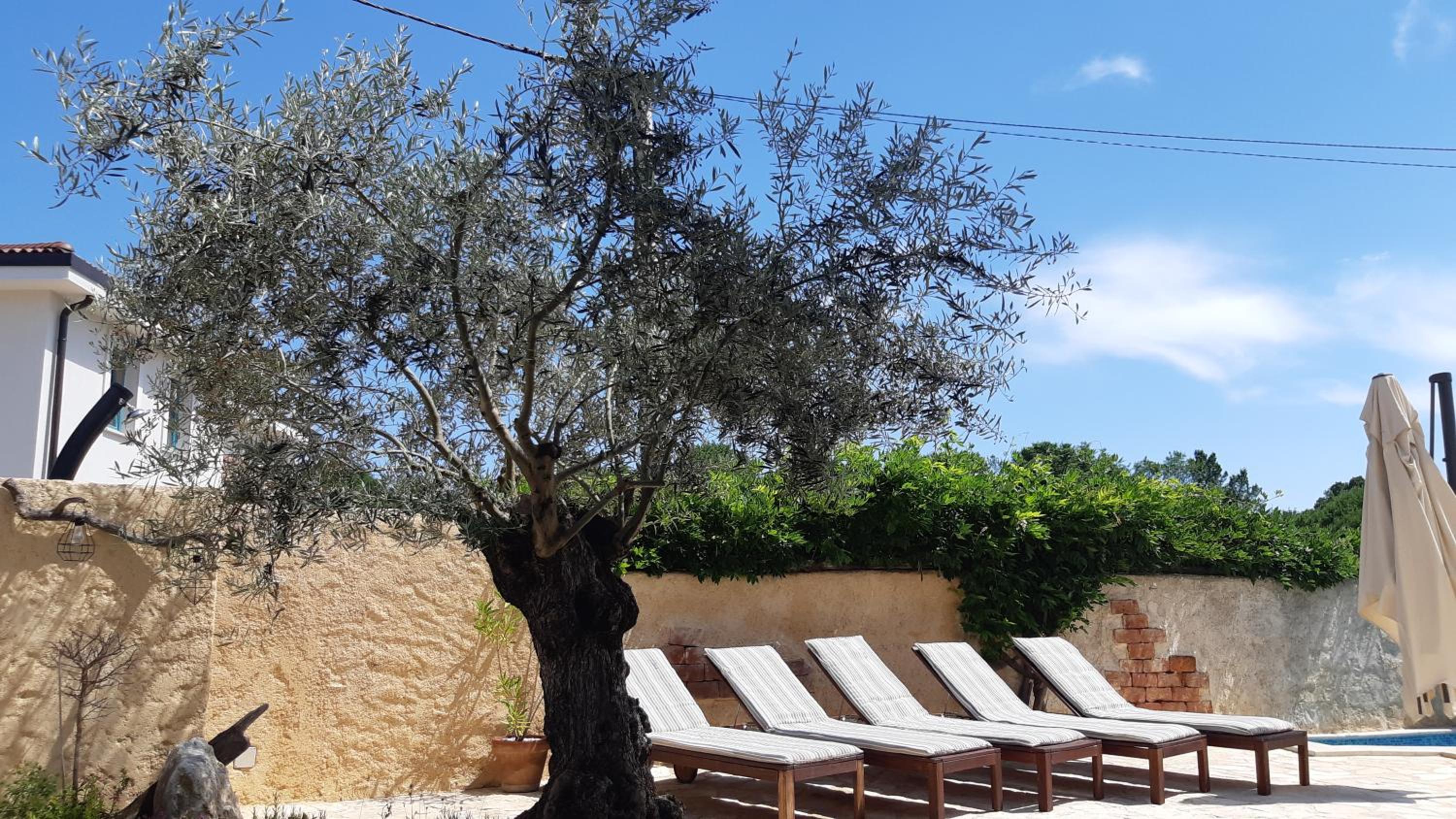 Holiday home Olea view 5