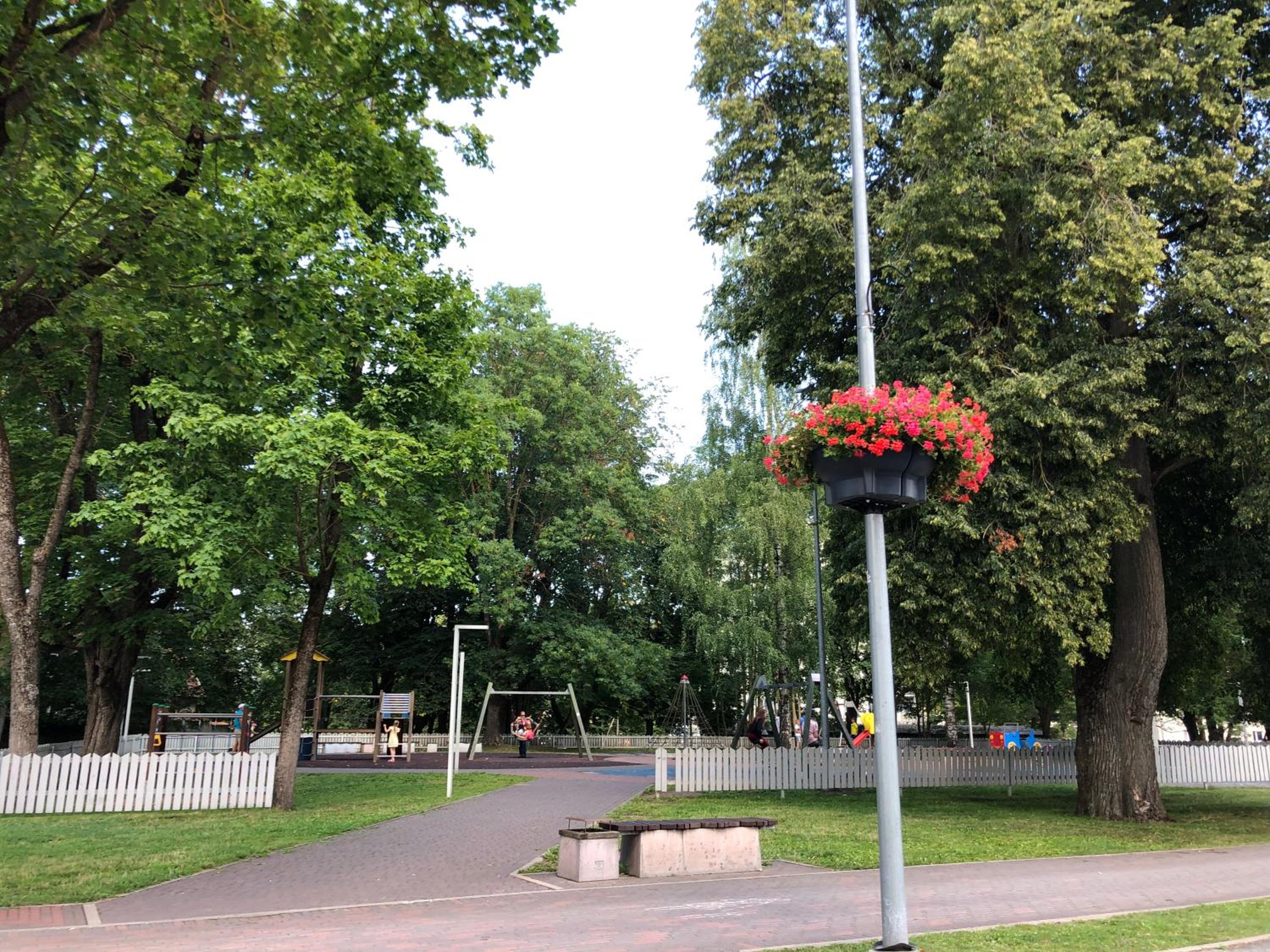 Photo 8