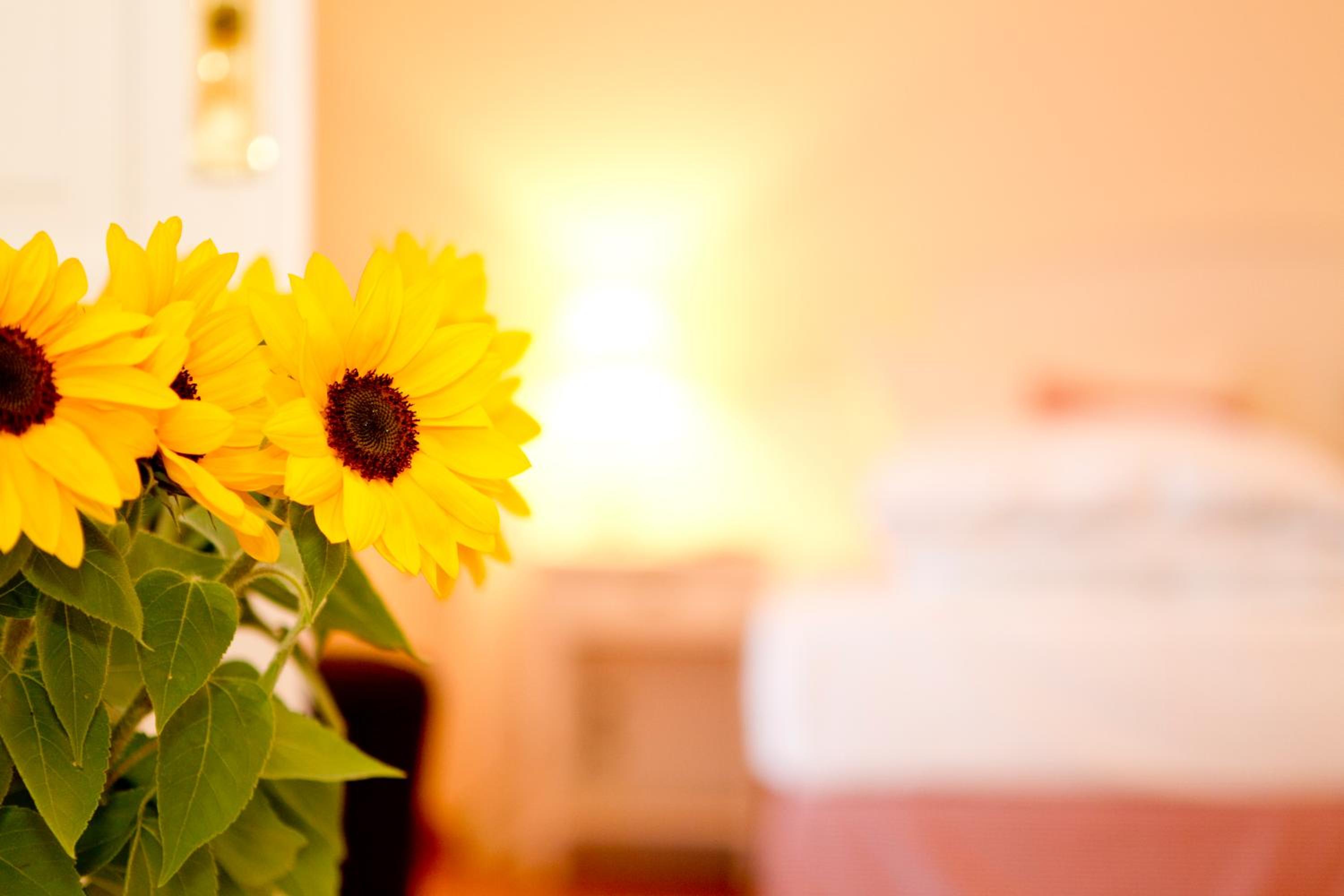 Landhaus Marinella Hotel Garni