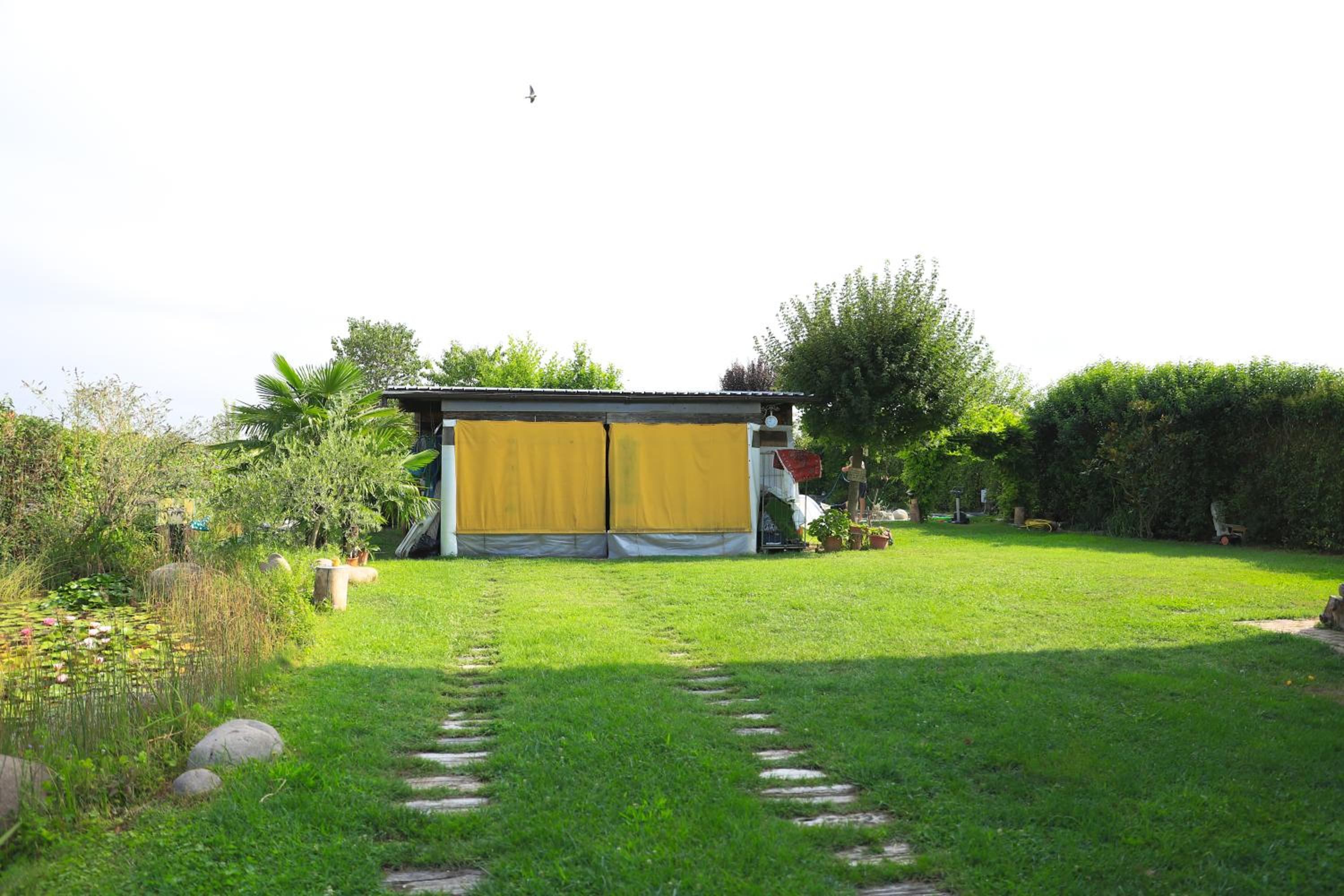 Photo 15