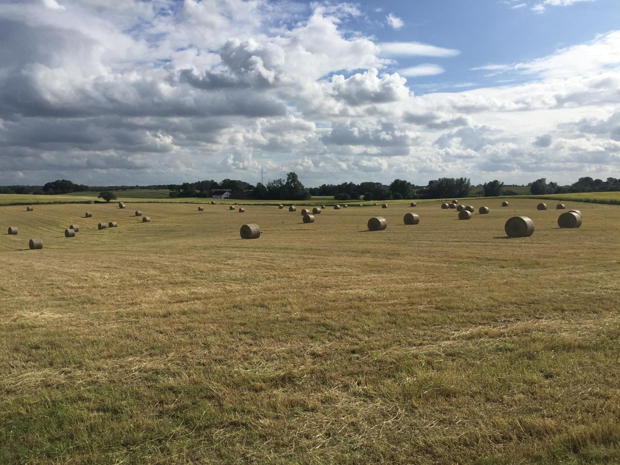 Happy Hill Farm