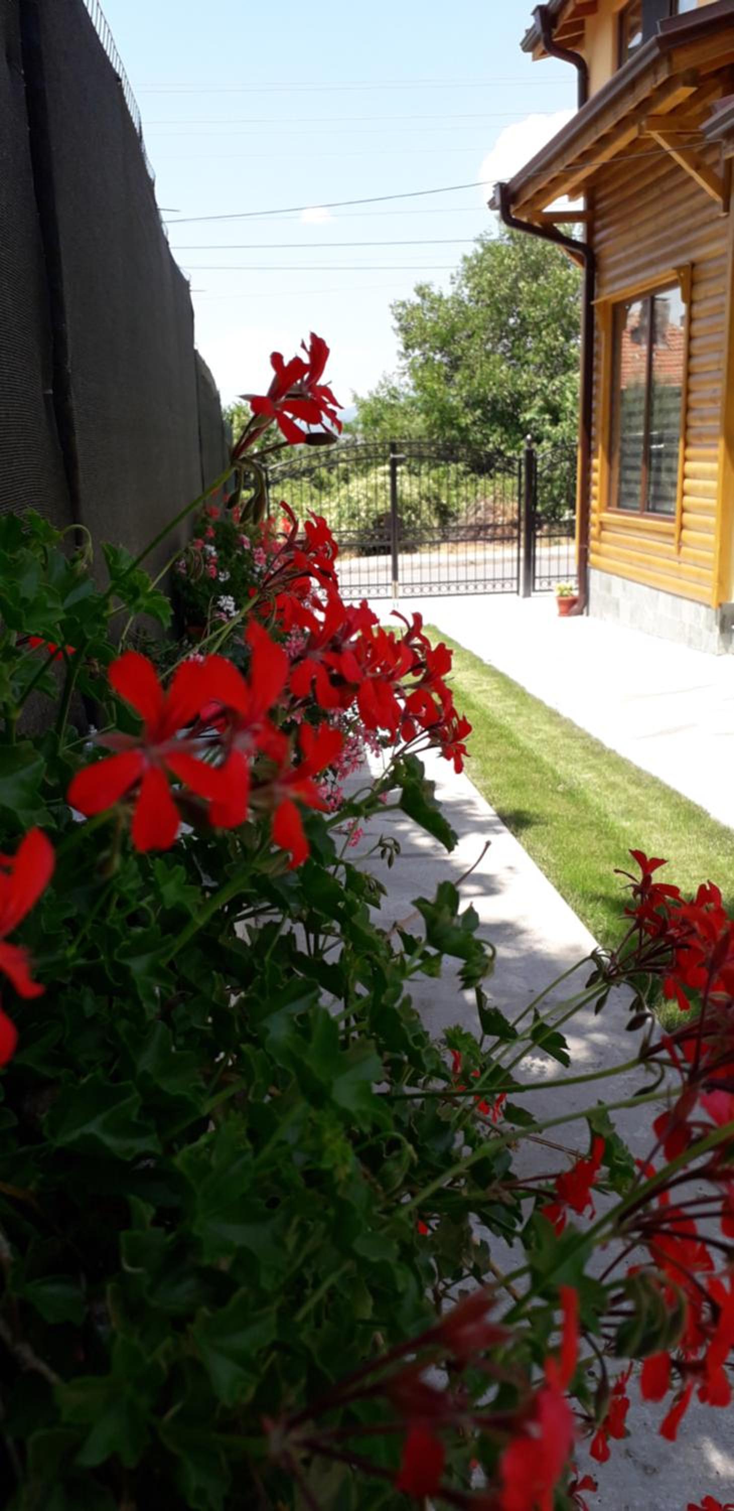Guest House Ideal