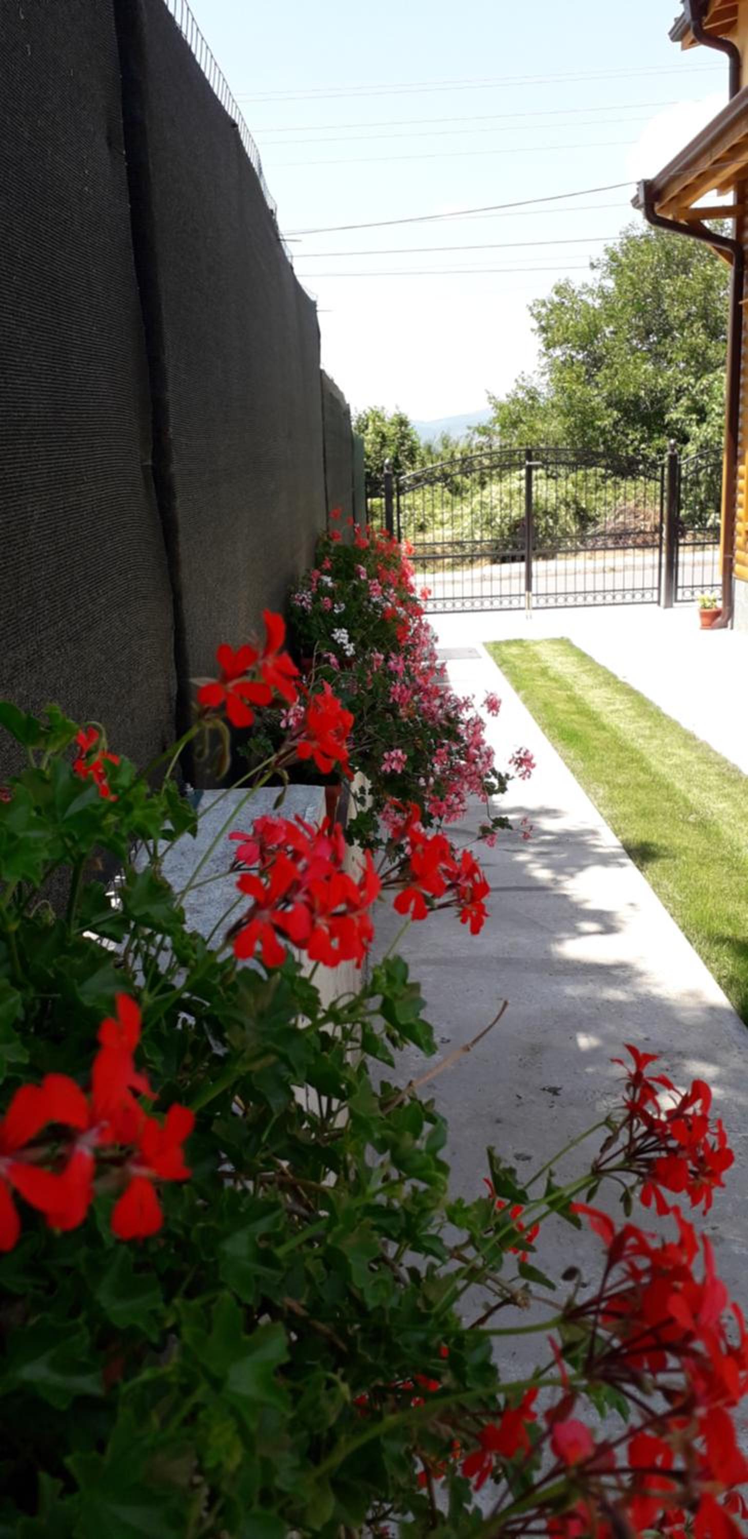Guest House Ideal