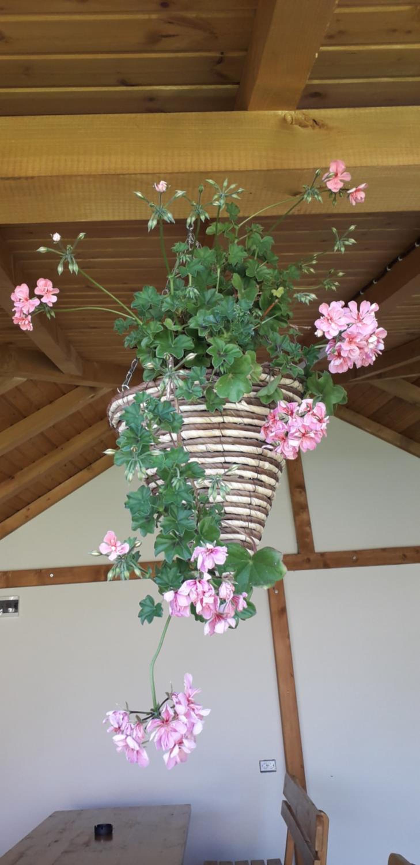 Guest House Ideal