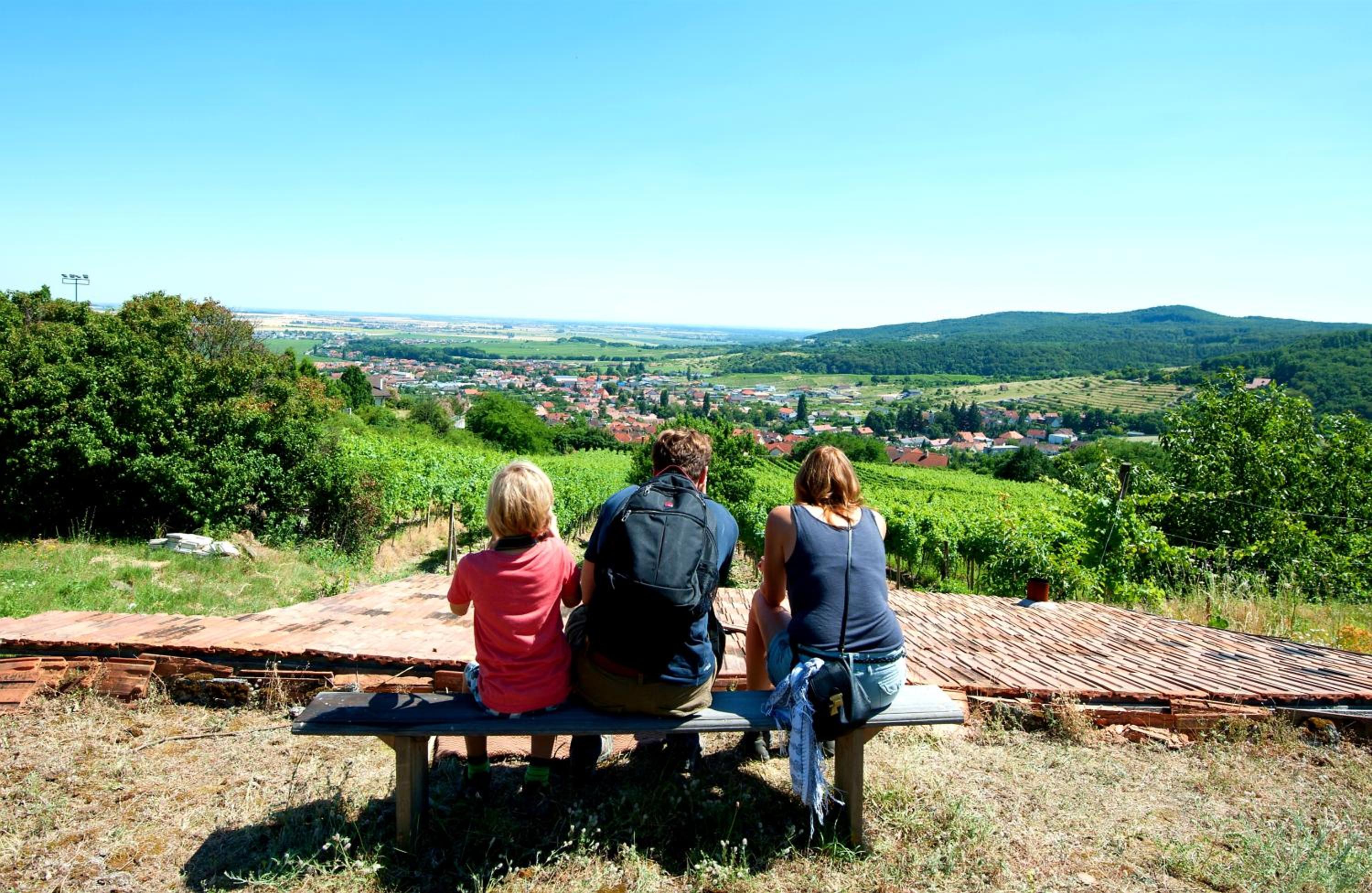 Villa Vinica view 3