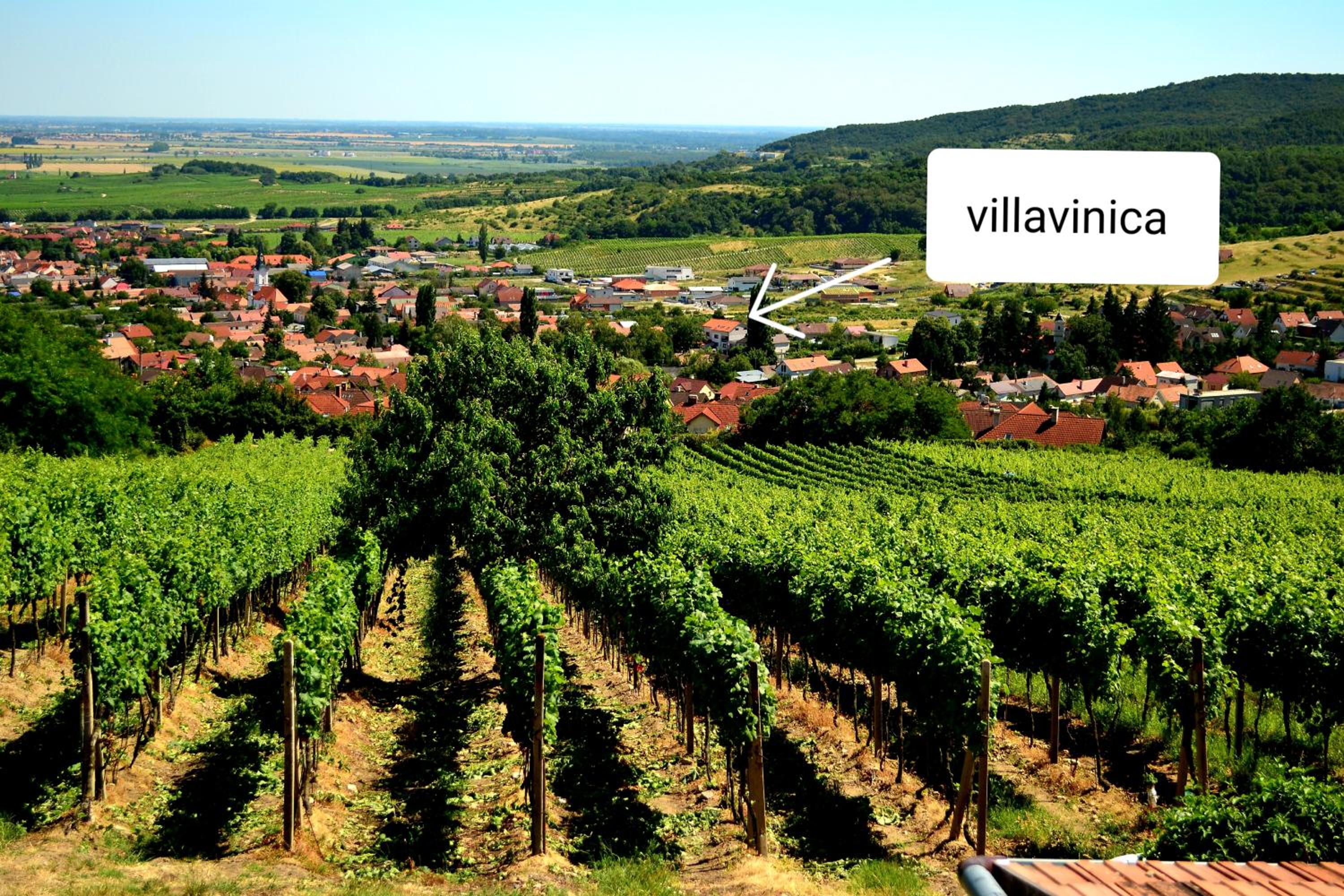 Villa Vinica view 2