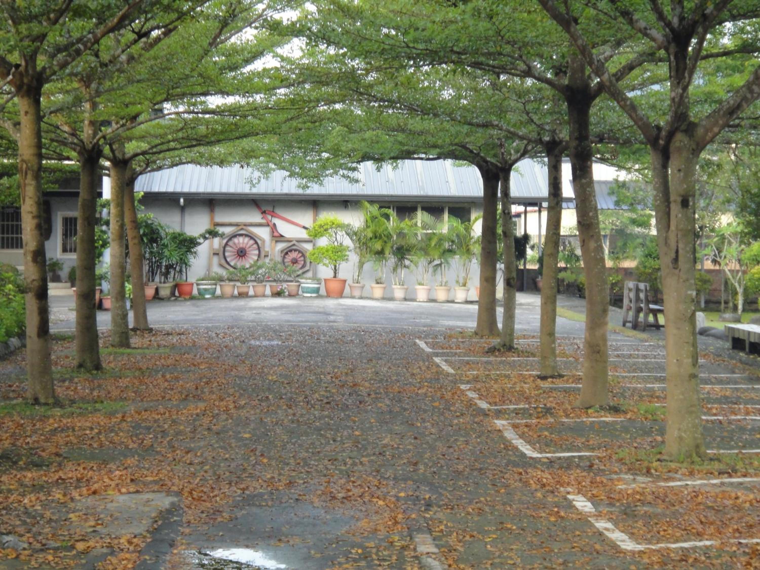 Photo 19