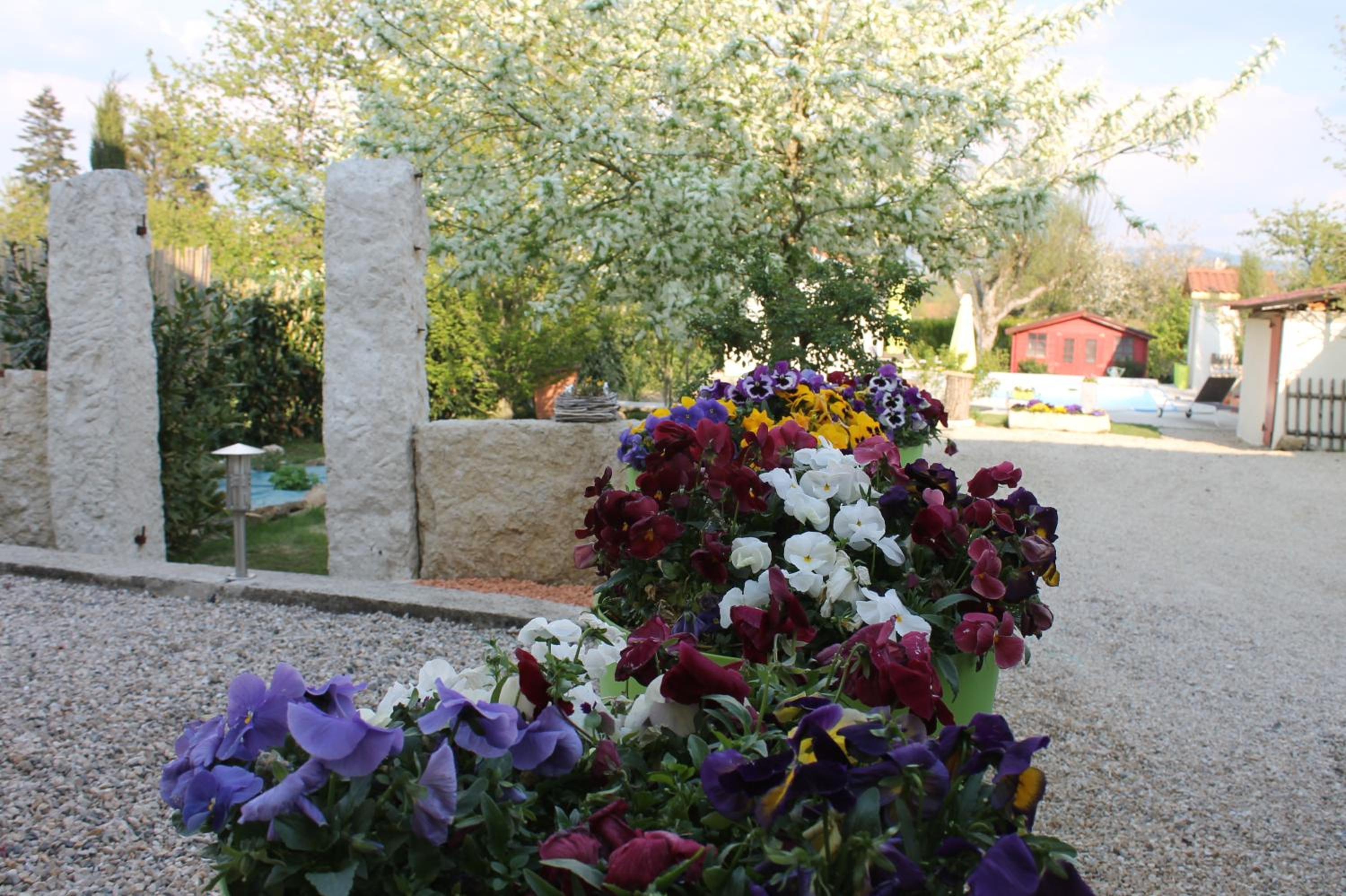 Photo 15