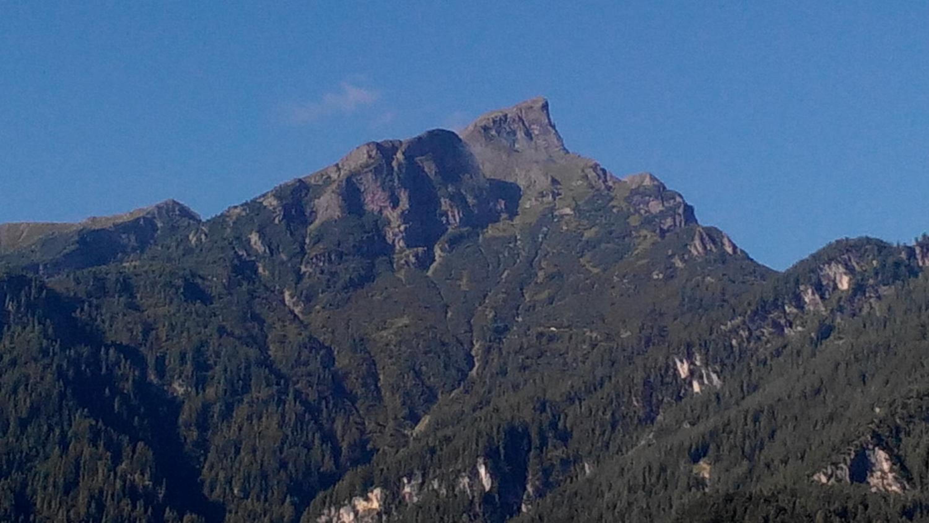 Photo 40