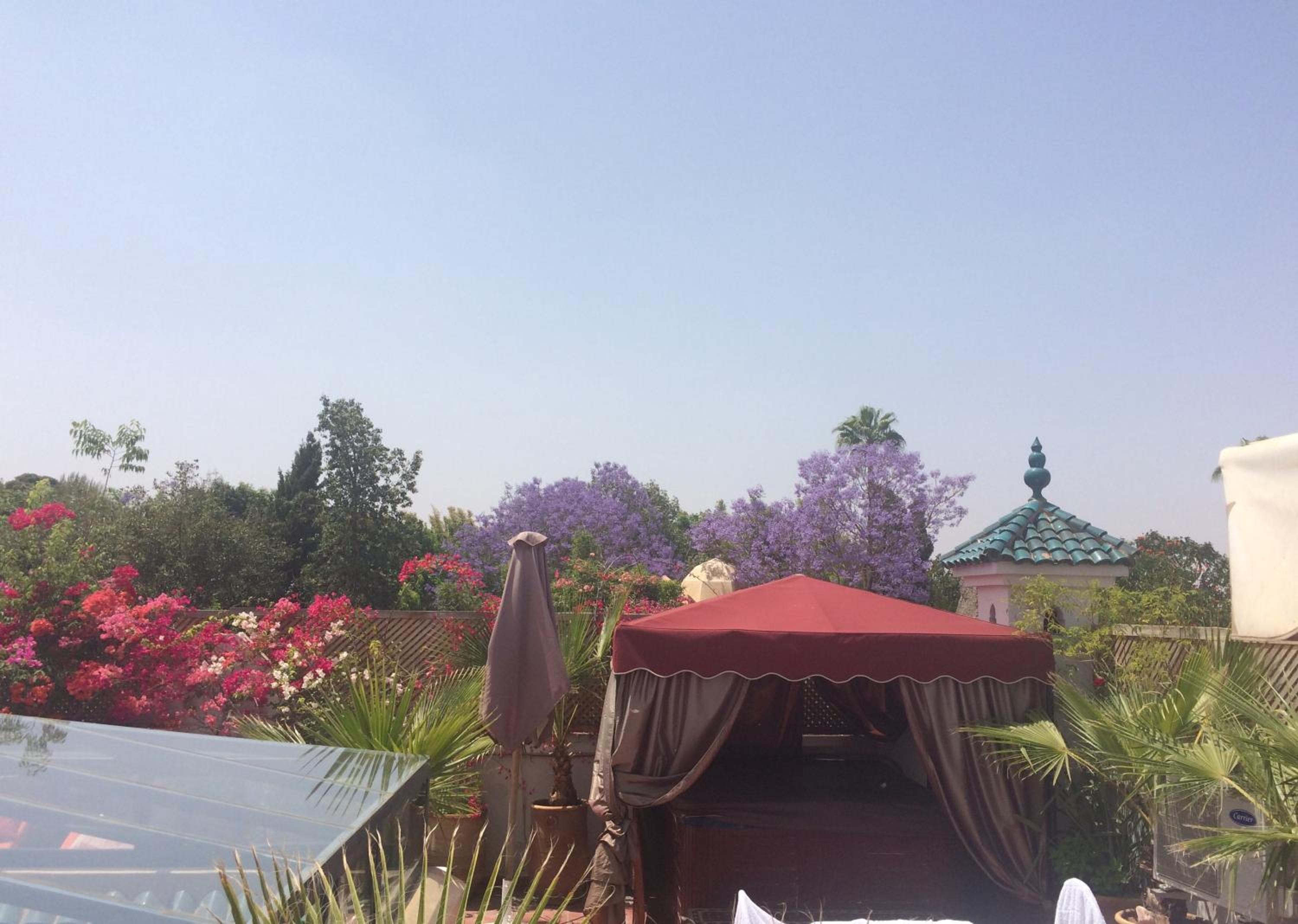 roof
