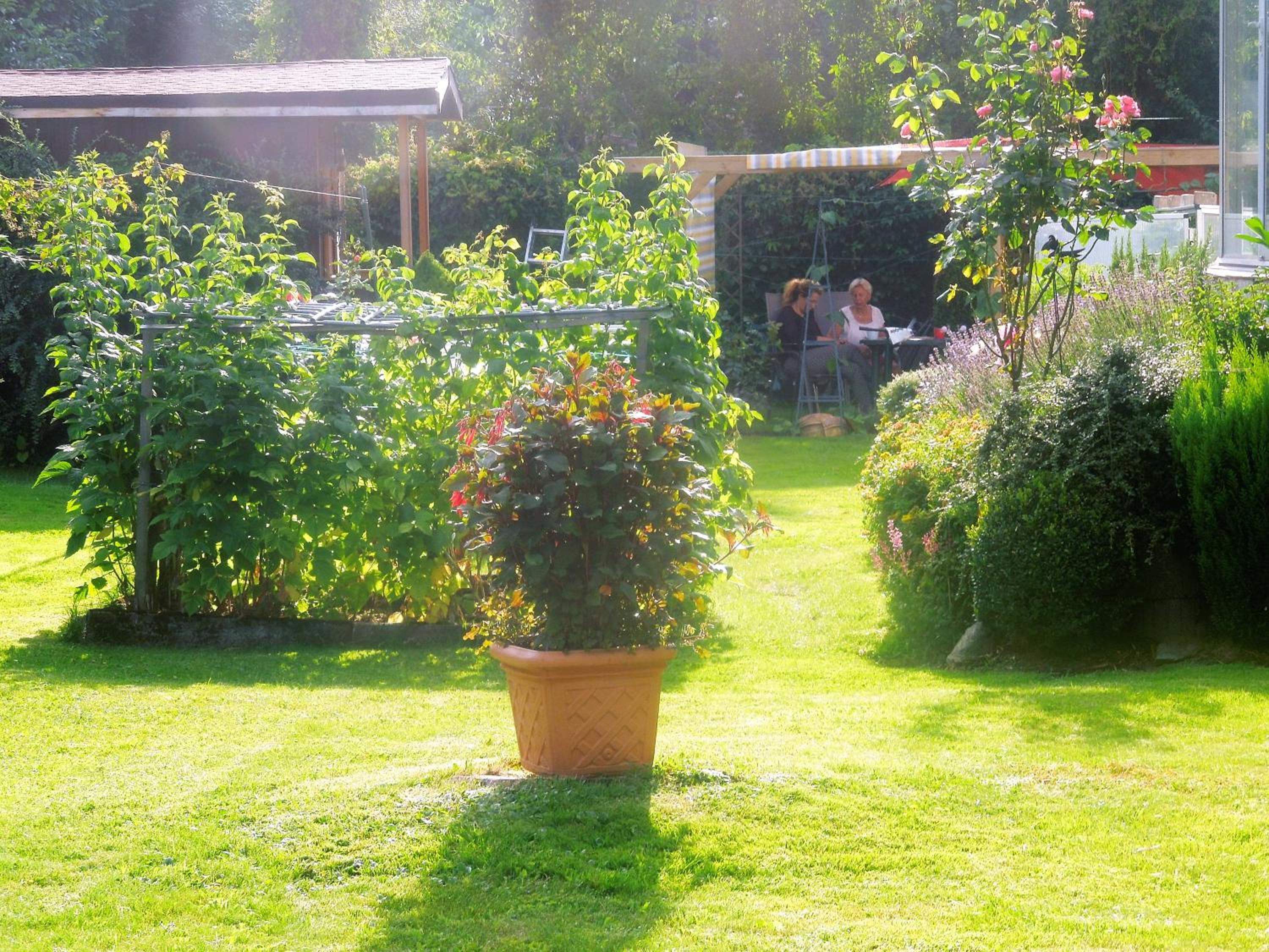 Photo 17