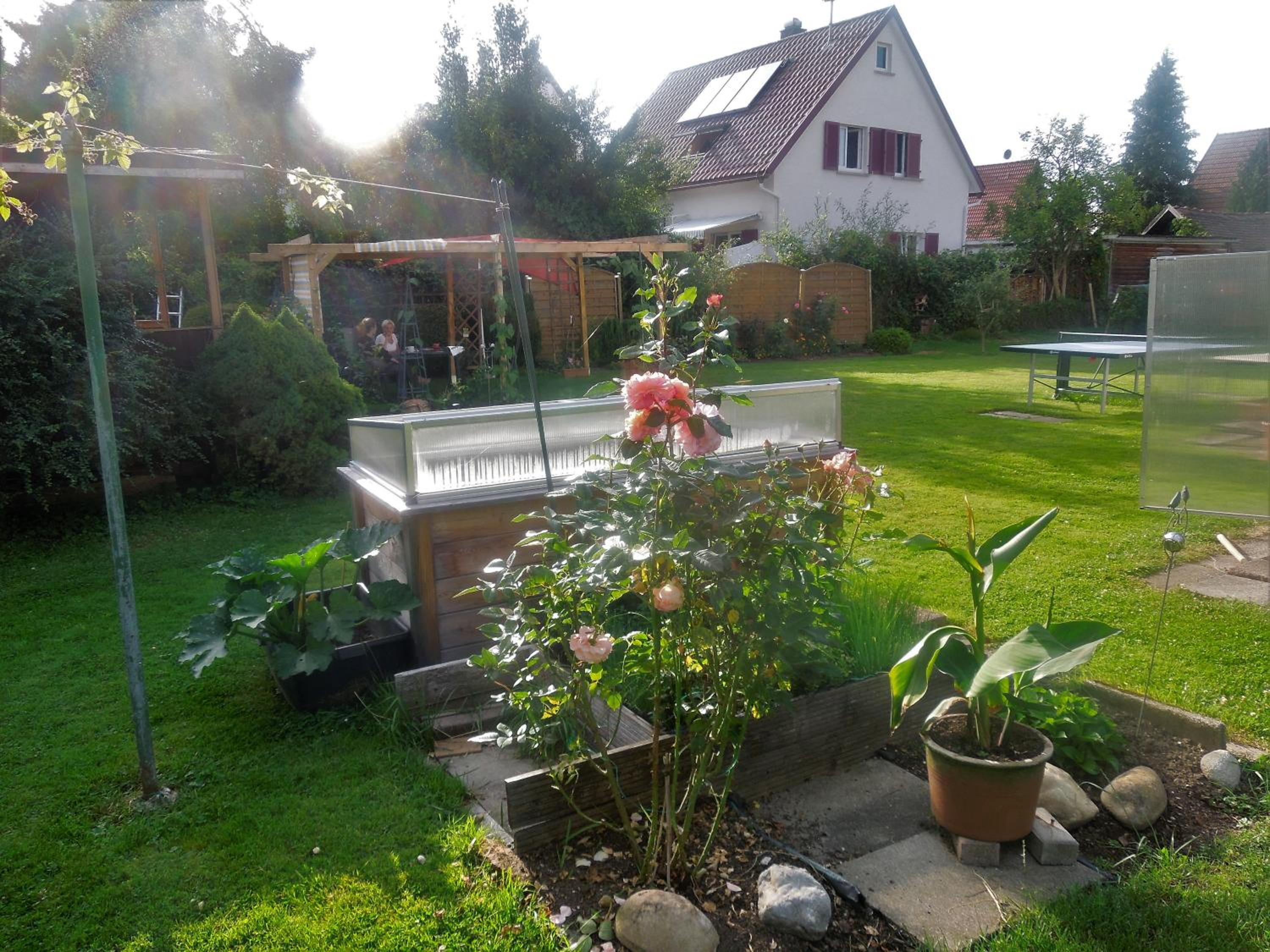 Photo 13