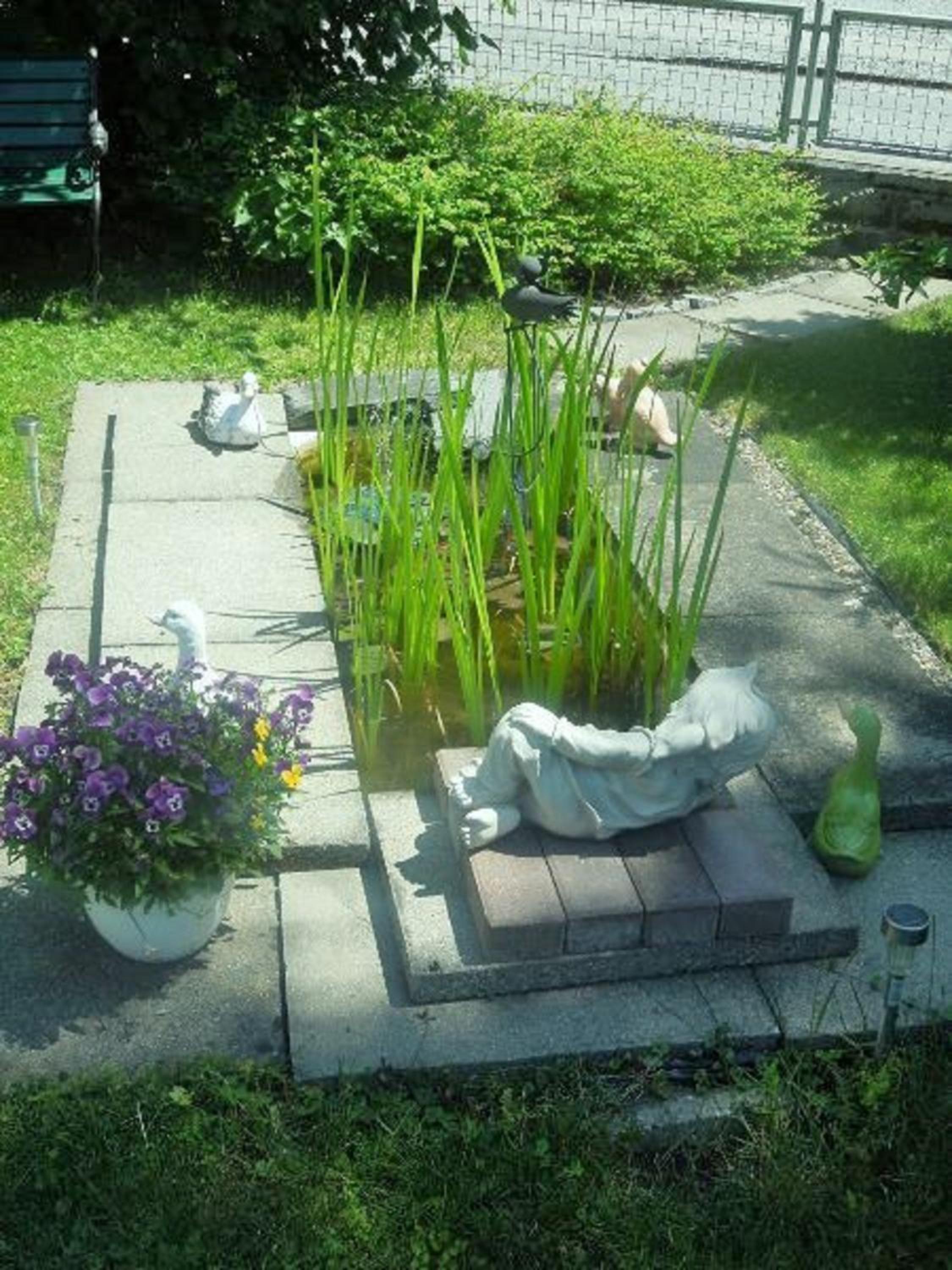 Photo 14