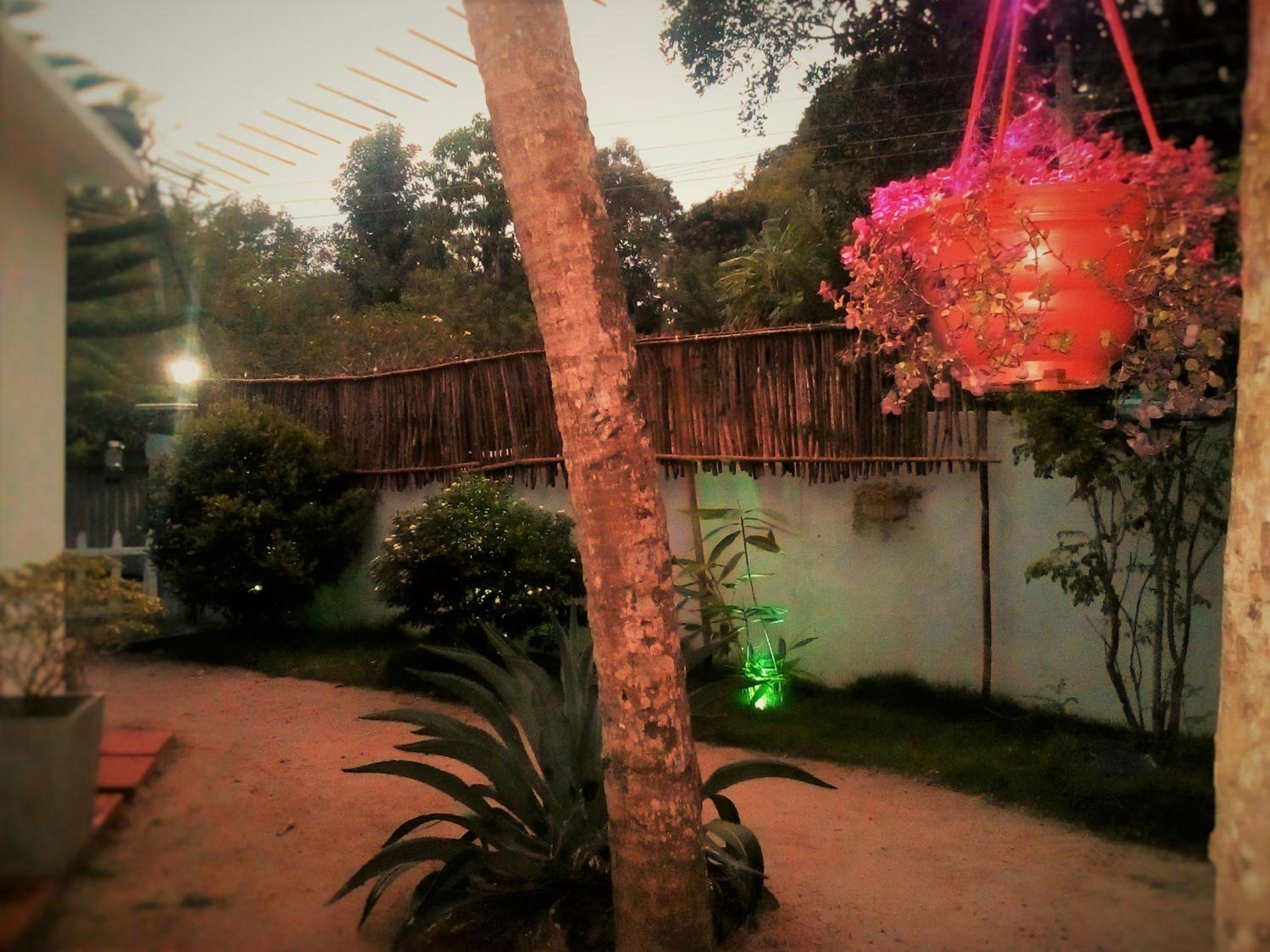 Photo 58